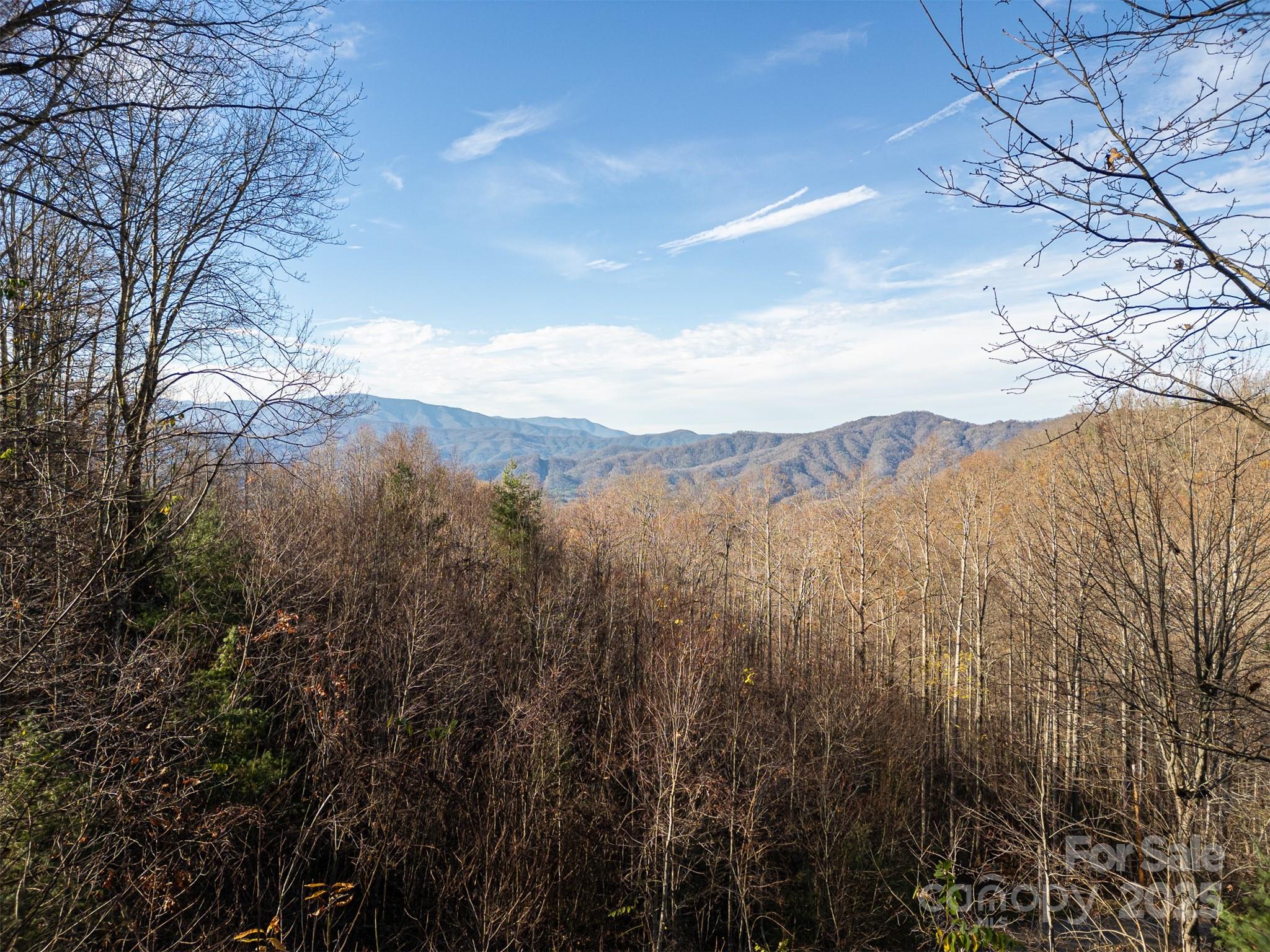 0000 Hyacinth Drive Clyde NC 28721