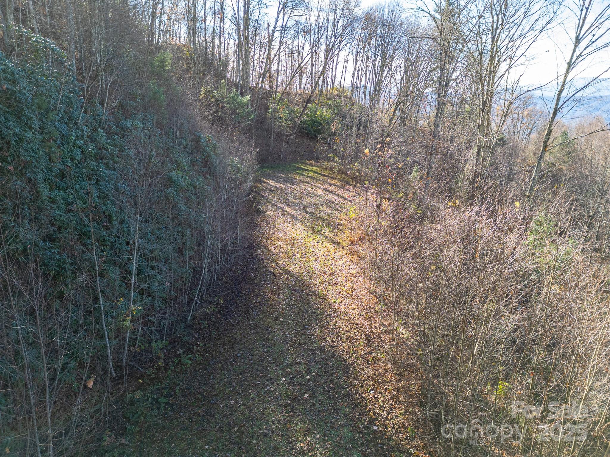 0000 Hyacinth Drive Clyde NC 28721