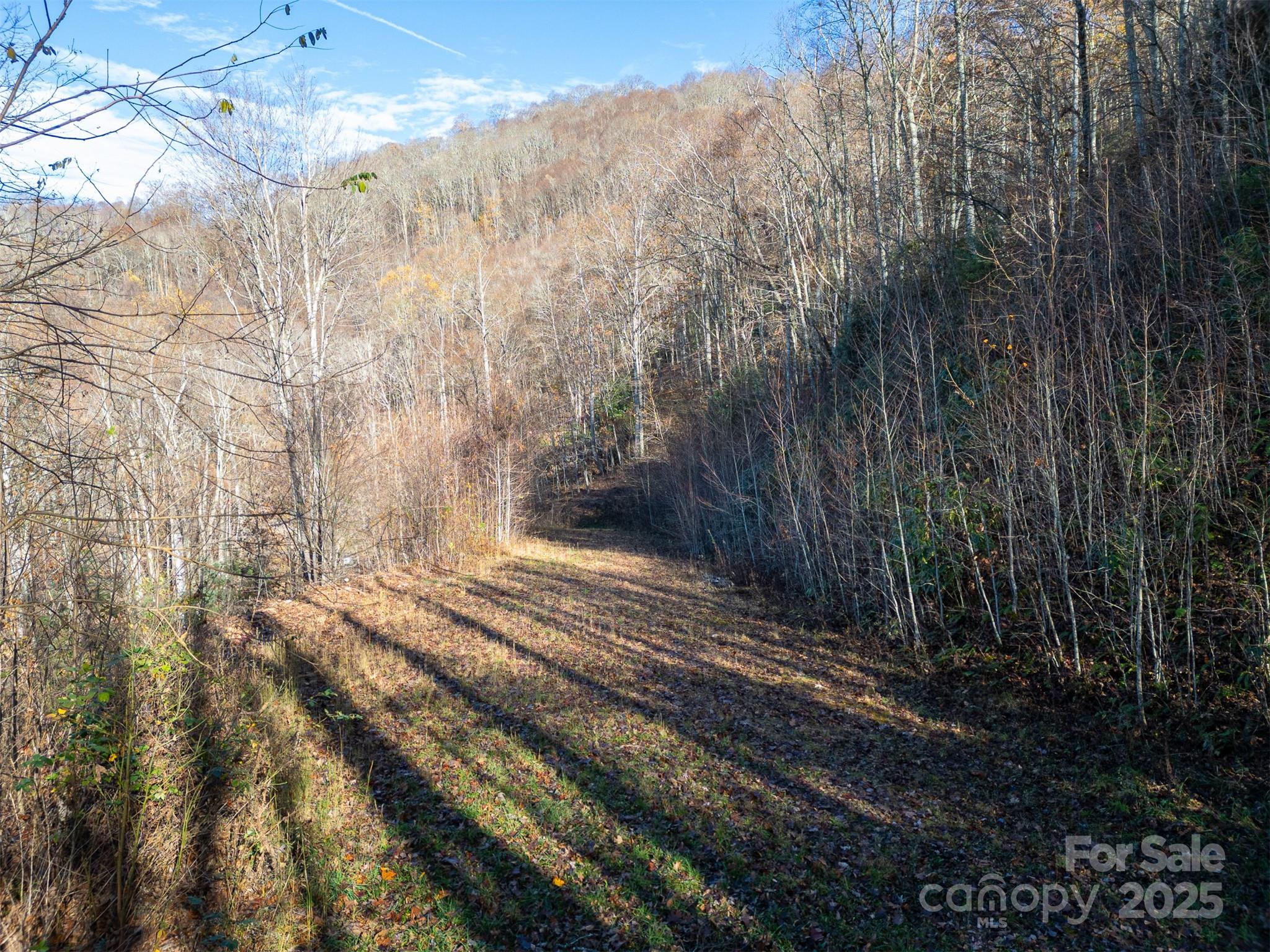 0000 Hyacinth Drive Clyde NC 28721