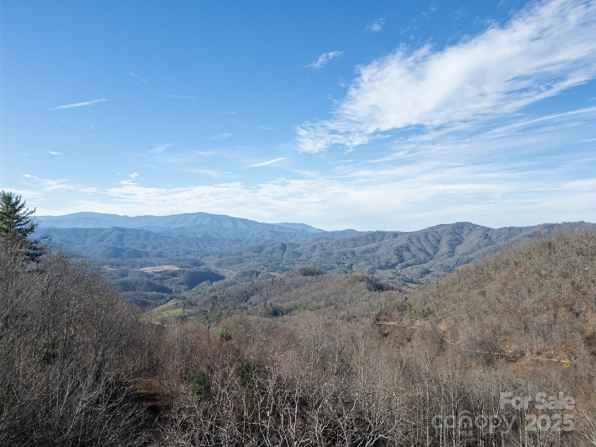0000 Hyacinth Drive Clyde NC 28721