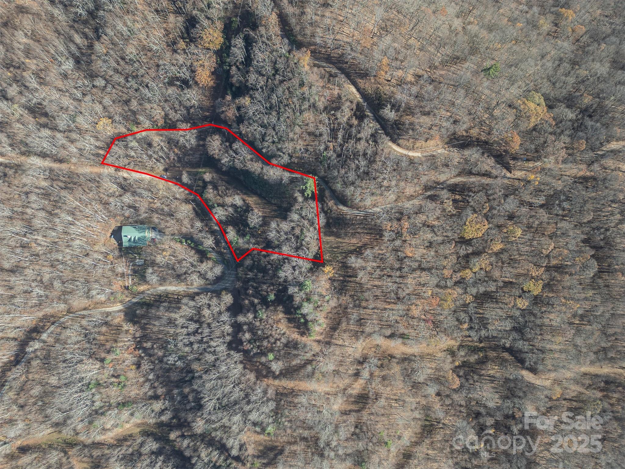 0000 Hyacinth Drive Clyde NC 28721