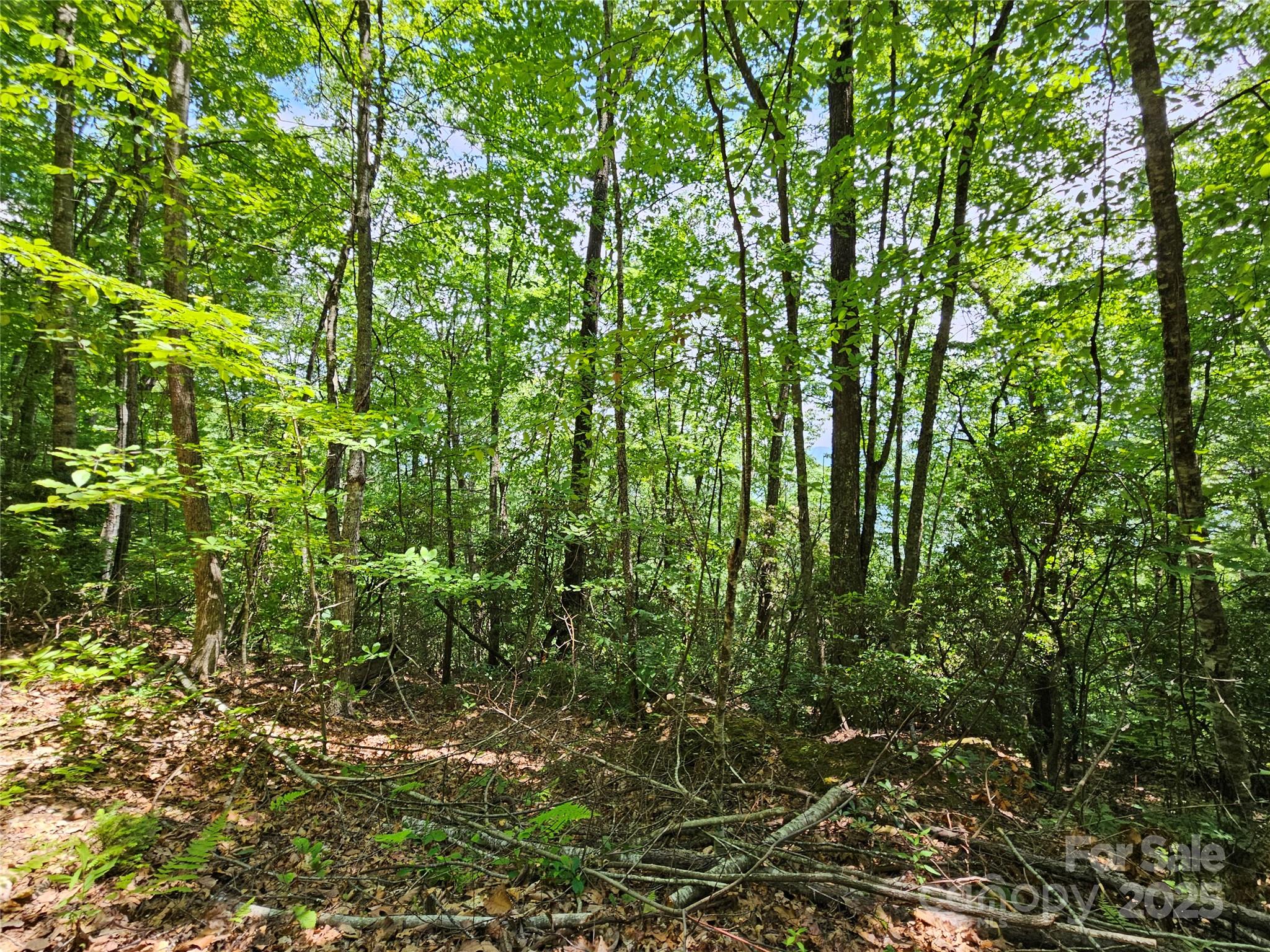 00 Laurel Ridge Road Maggie Valley NC 28751