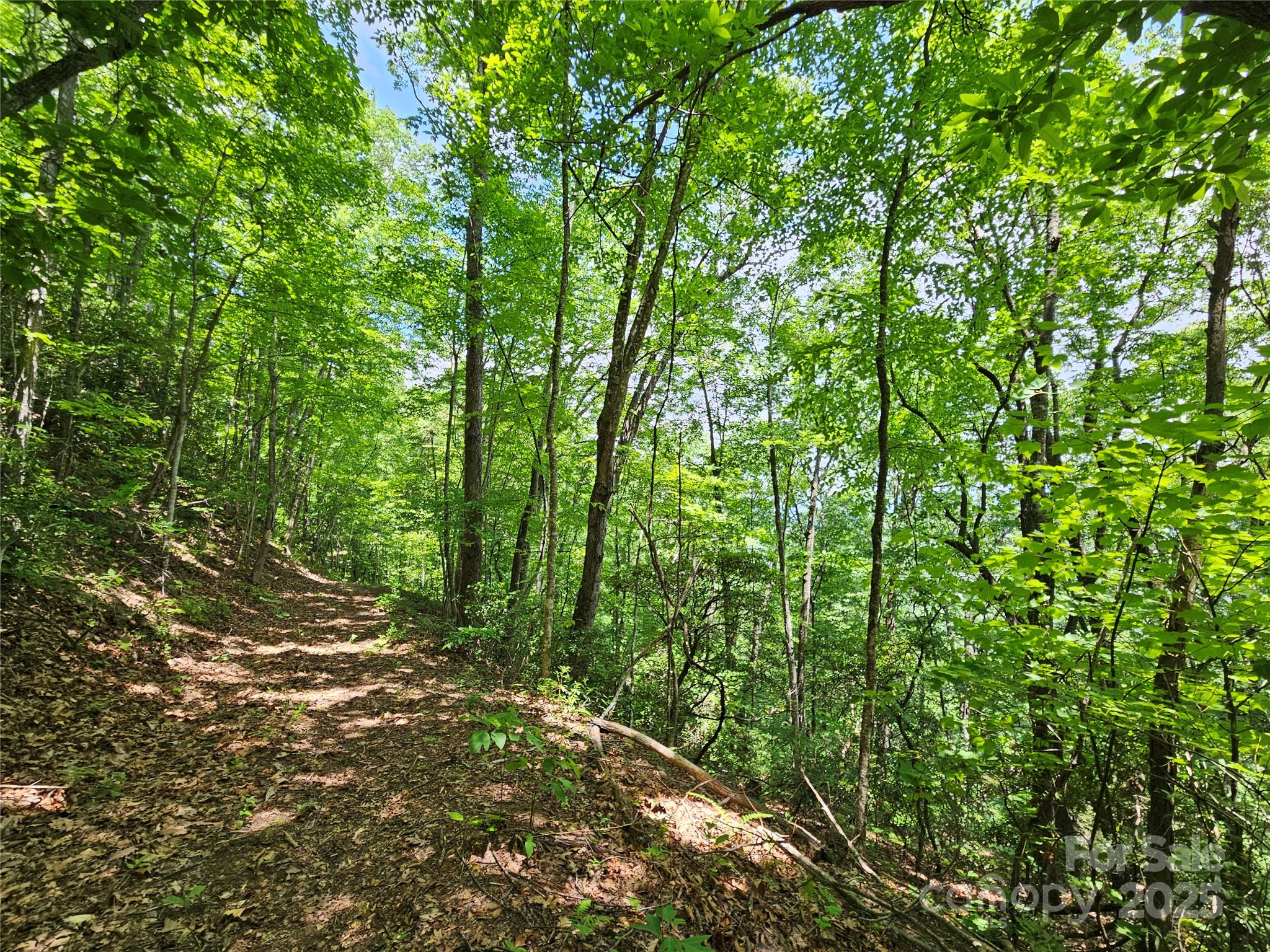 00 Laurel Ridge Road Maggie Valley NC 28751
