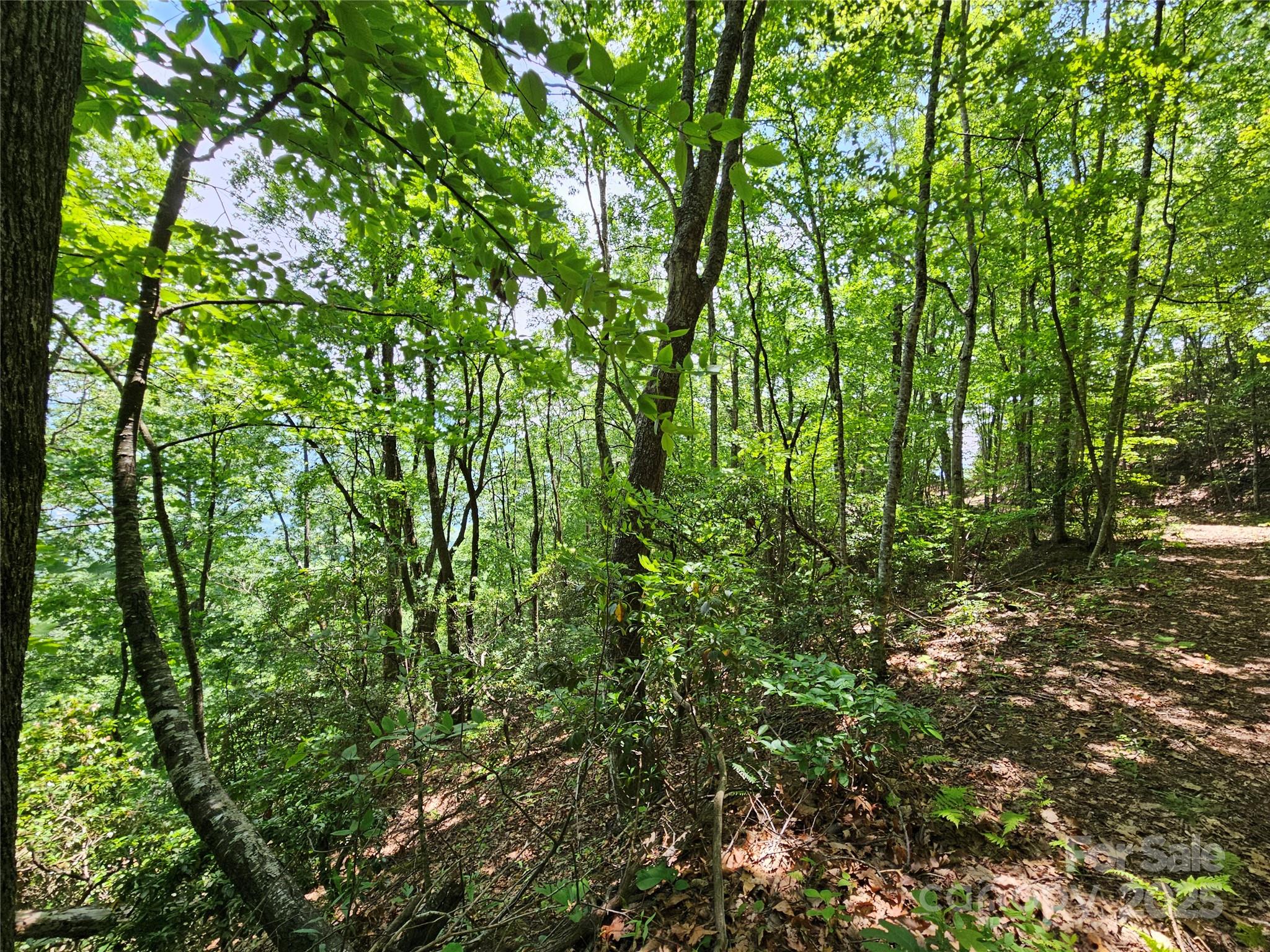 00 Laurel Ridge Road Maggie Valley NC 28751
