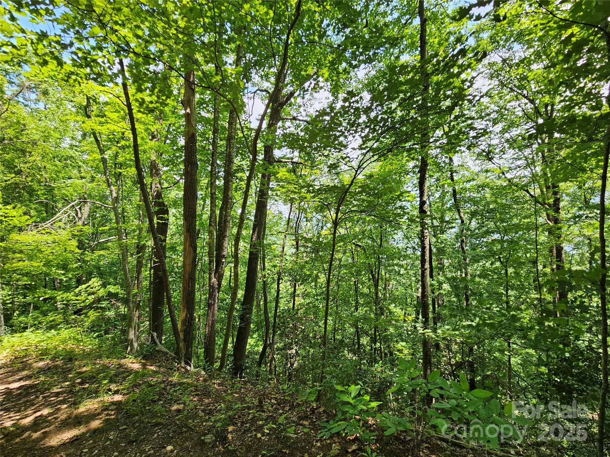 00 Laurel Ridge Road Maggie Valley NC 28751