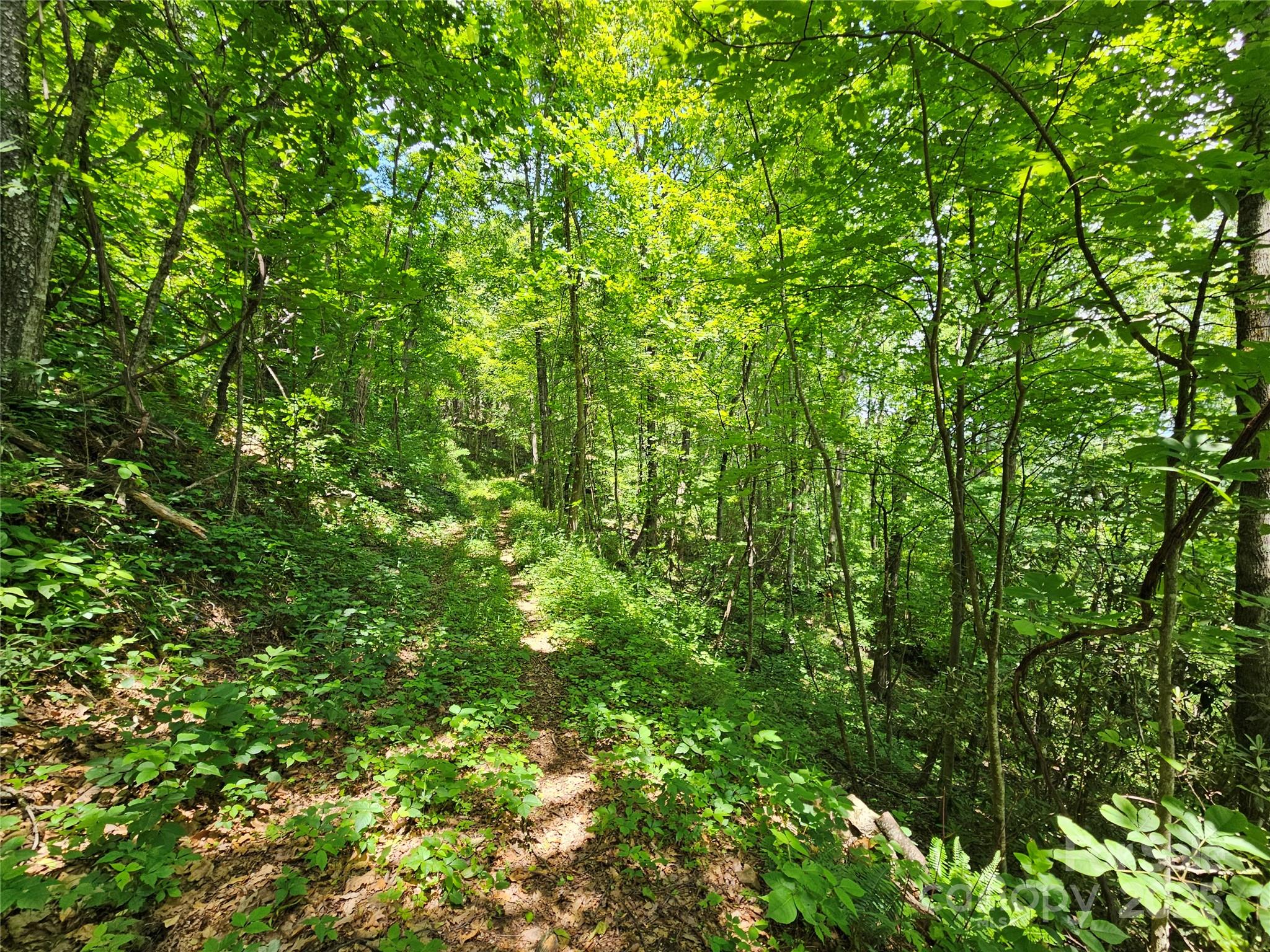 00 Laurel Ridge Road Maggie Valley NC 28751
