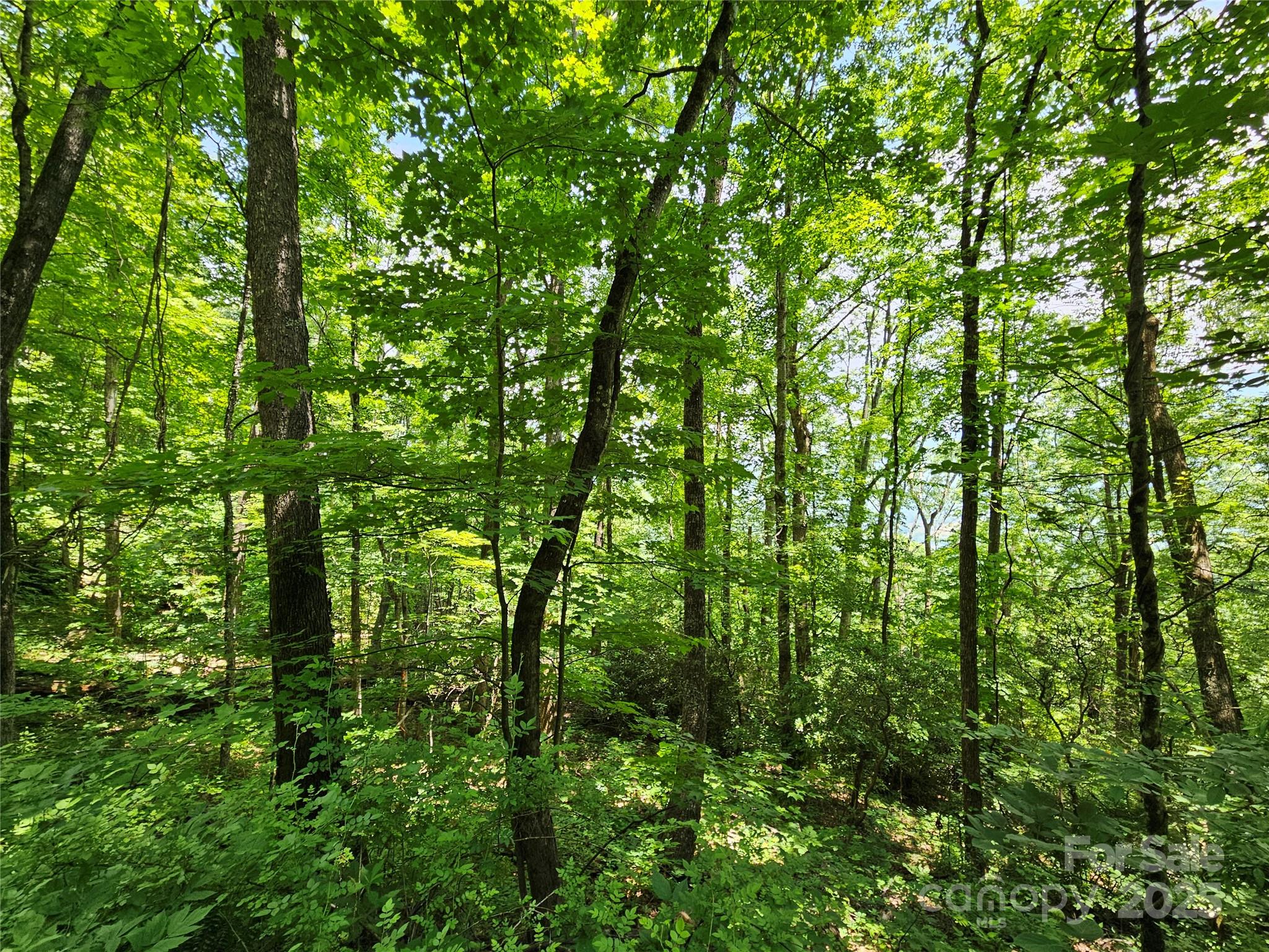 00 Laurel Ridge Road Maggie Valley NC 28751