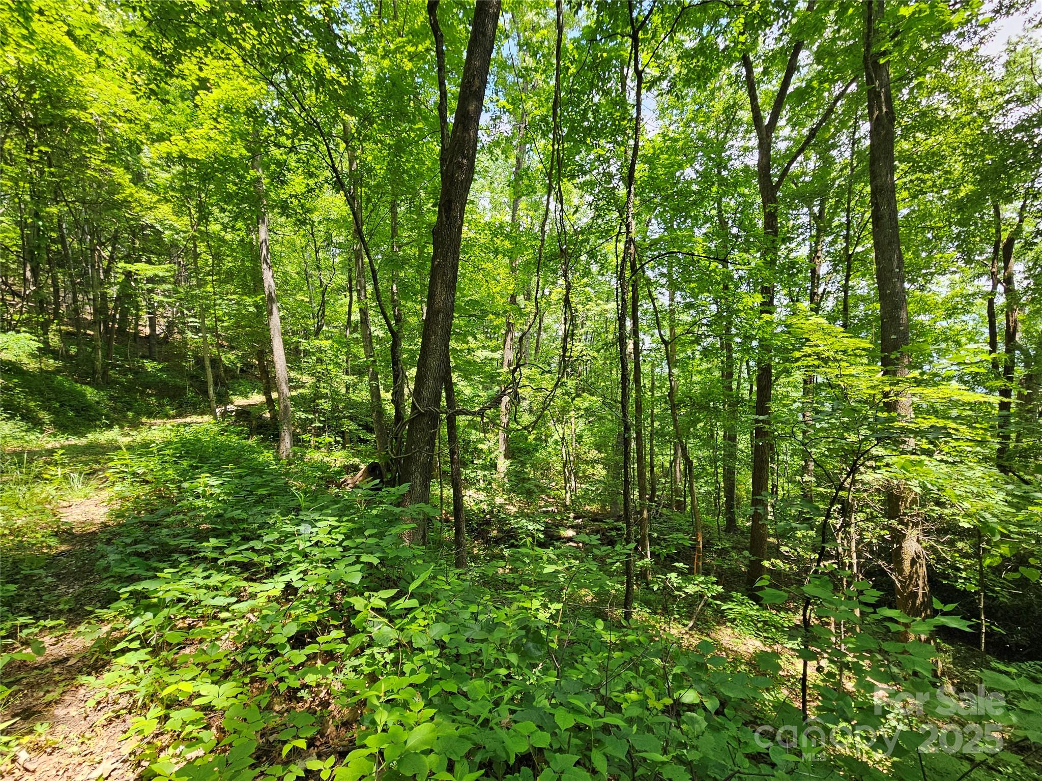 00 Laurel Ridge Road Maggie Valley NC 28751