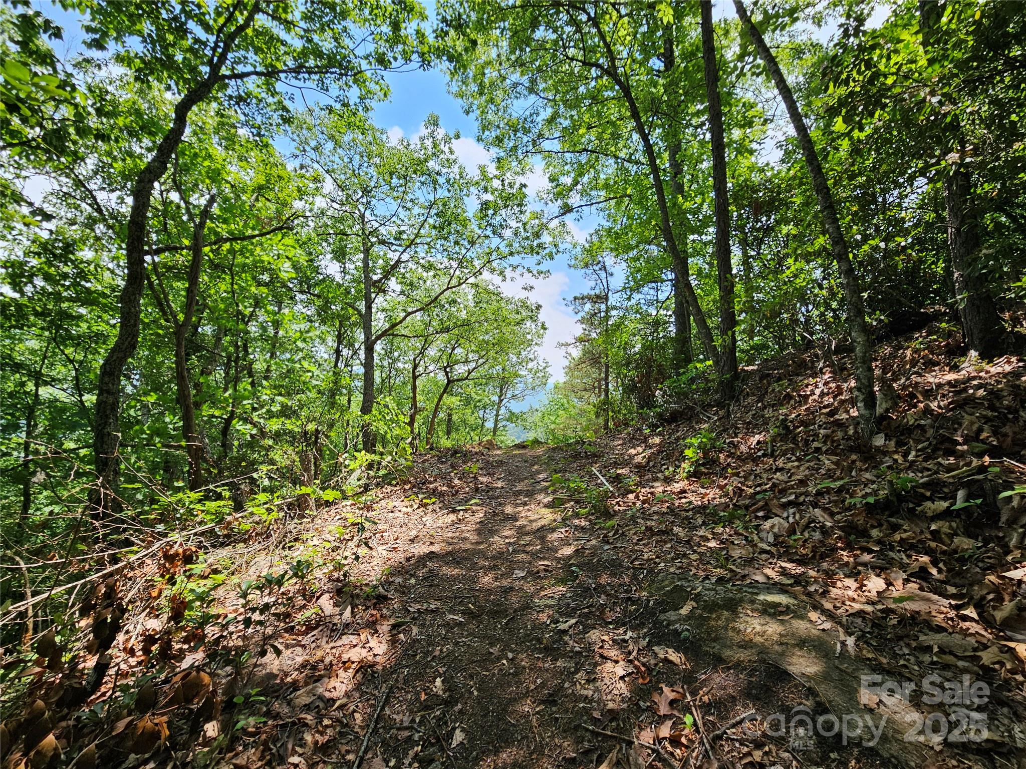 00 Laurel Ridge Road Maggie Valley NC 28751