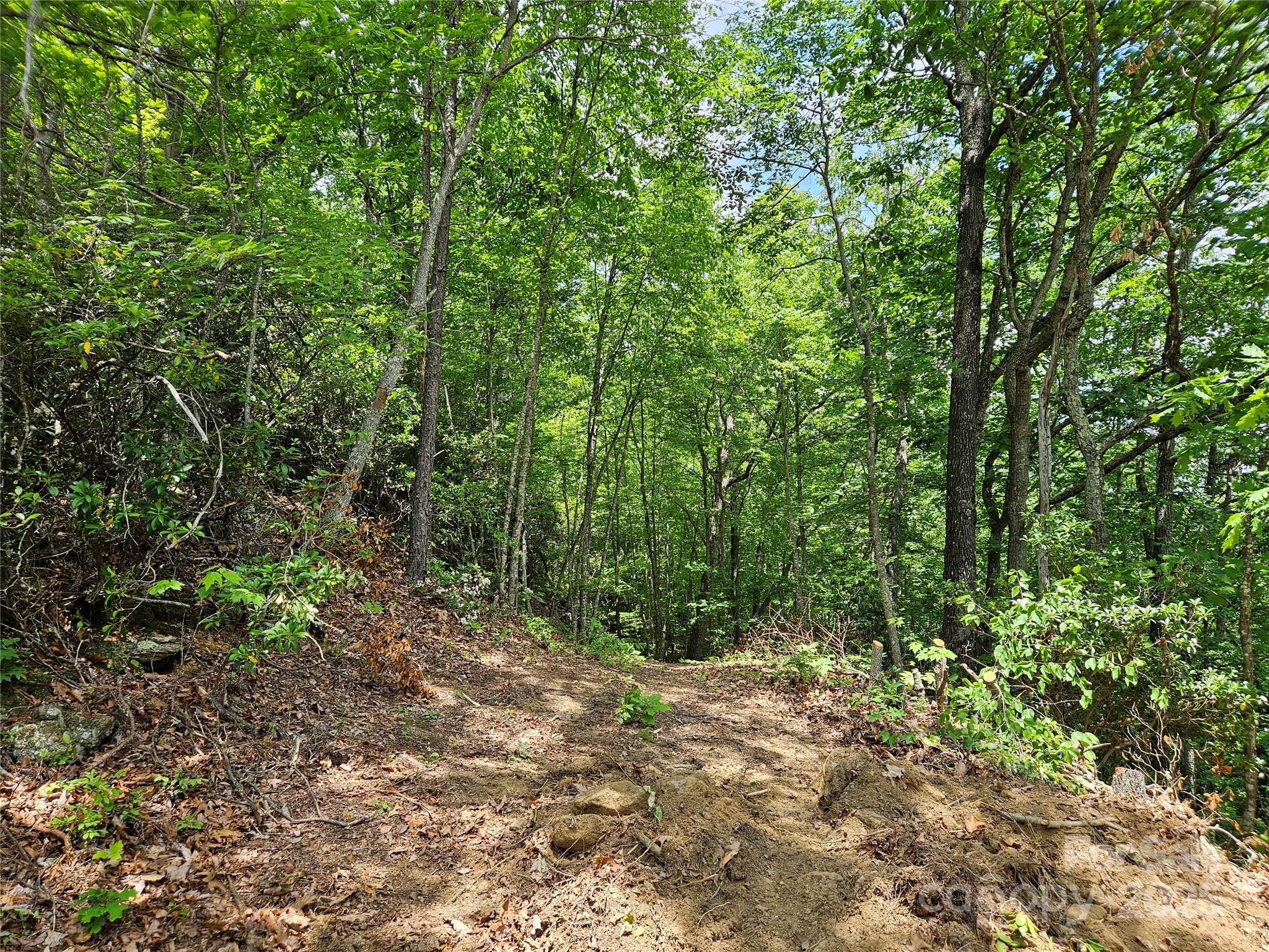 00 Laurel Ridge Road Maggie Valley NC 28751