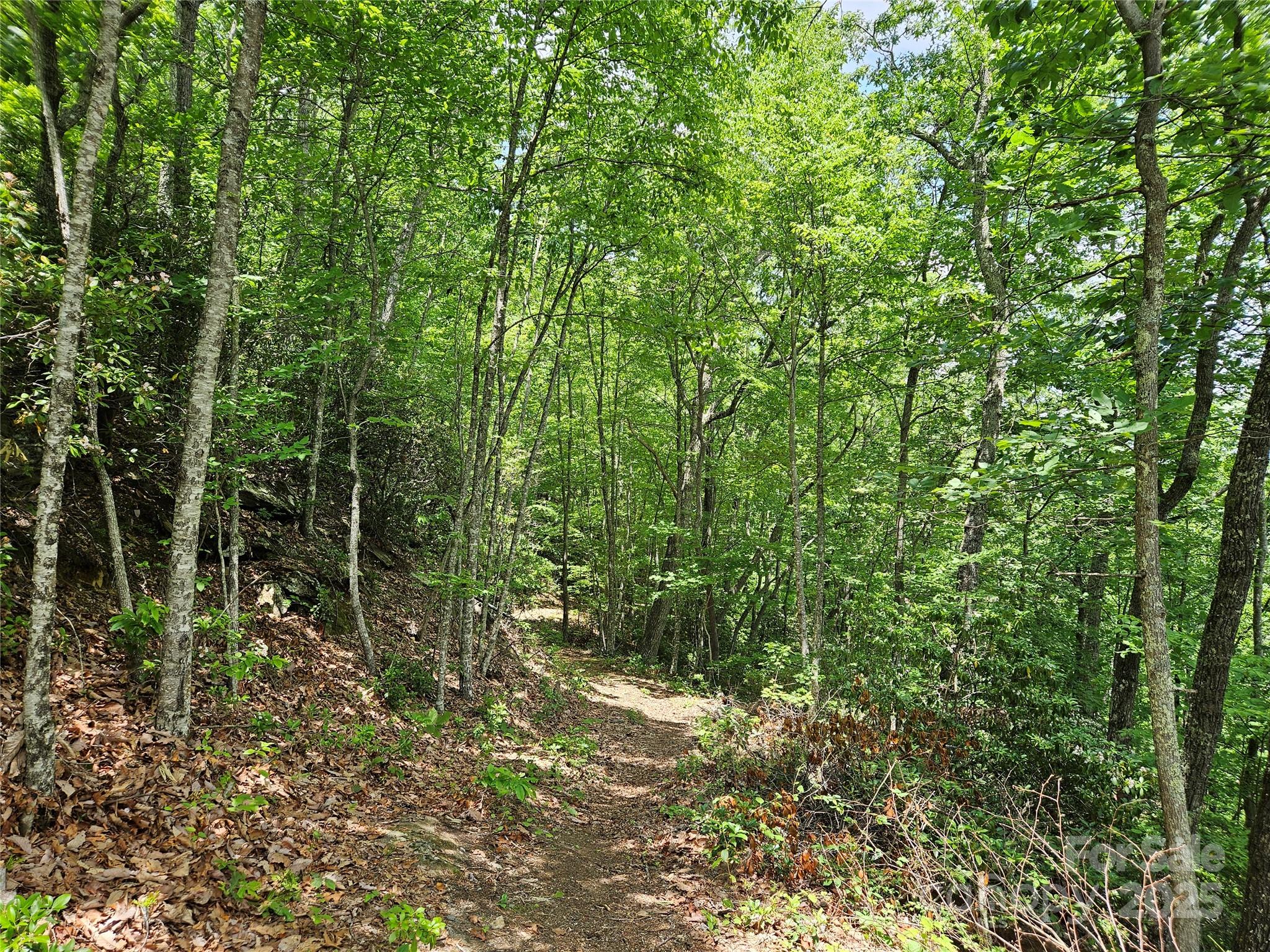 00 Laurel Ridge Road Maggie Valley NC 28751