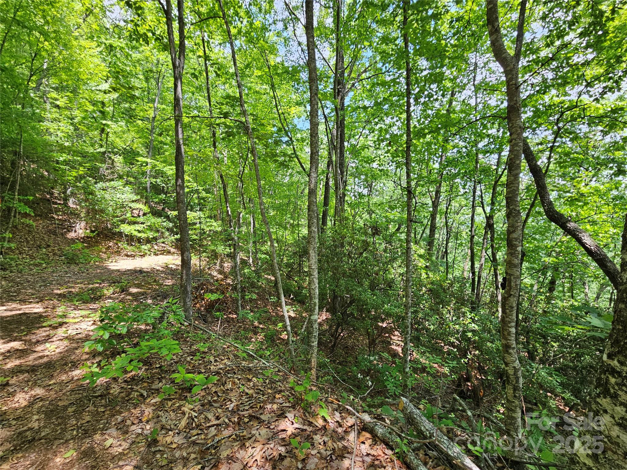 00 Laurel Ridge Road Maggie Valley NC 28751