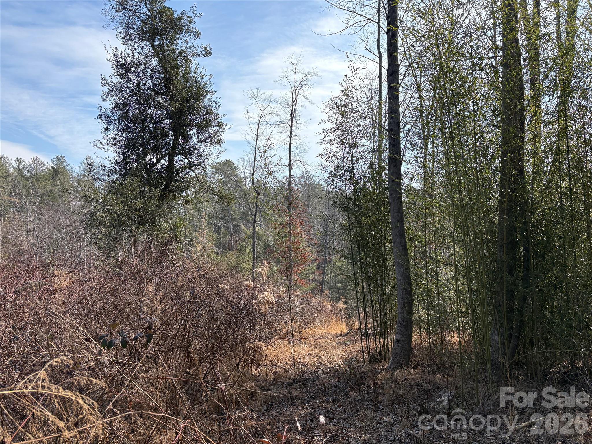 120 Shamrock Circle Hudson NC 28638