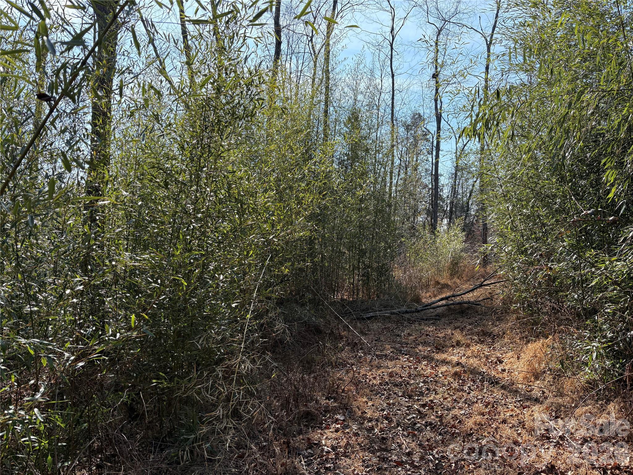 120 Shamrock Circle Hudson NC 28638