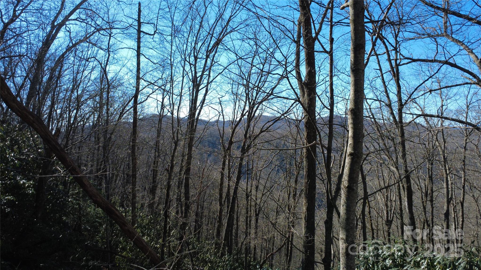 Lot 18 Joshua Road Rosman NC 28772