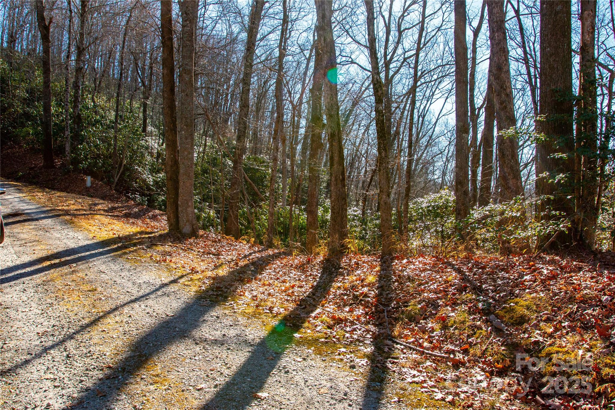 Lot 18 Joshua Road Rosman NC 28772
