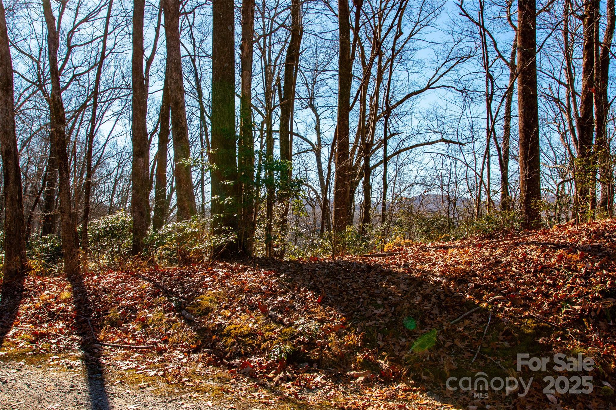 Lot 18 Joshua Road Rosman NC 28772
