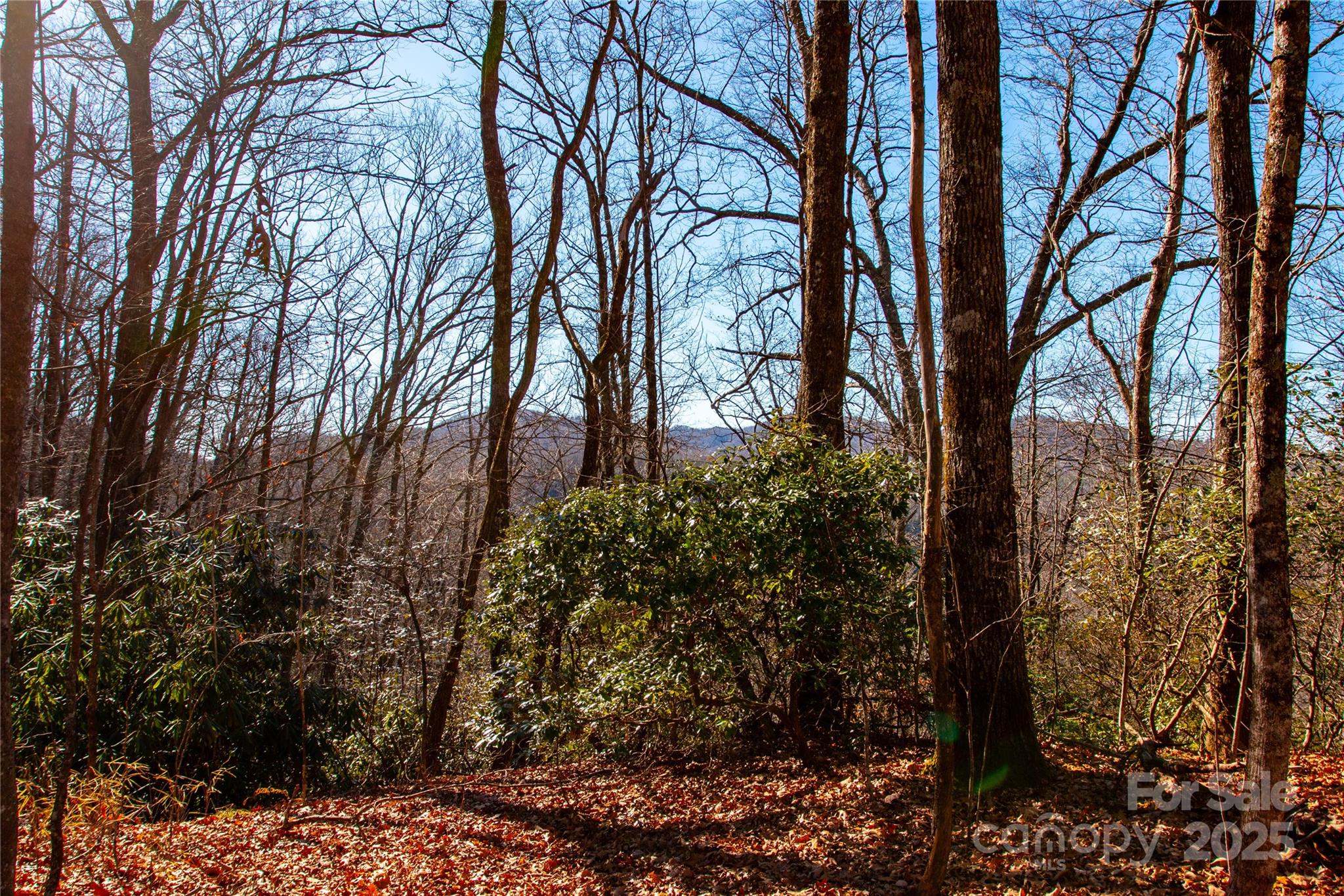 Lot 18 Joshua Road Rosman NC 28772