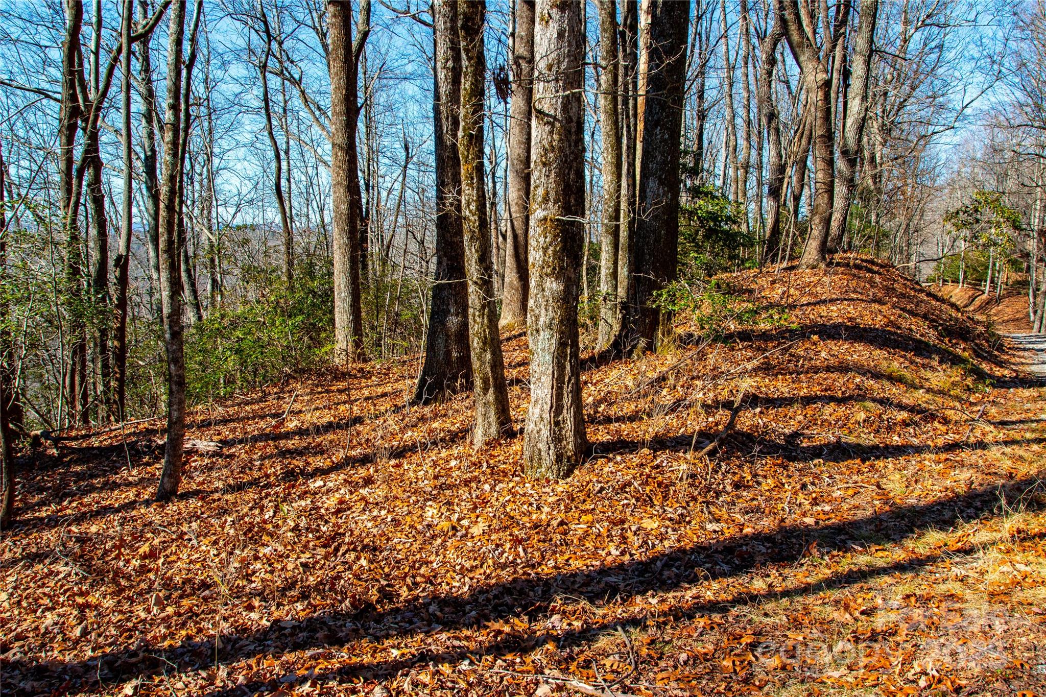 Lot 18 Joshua Road Rosman NC 28772