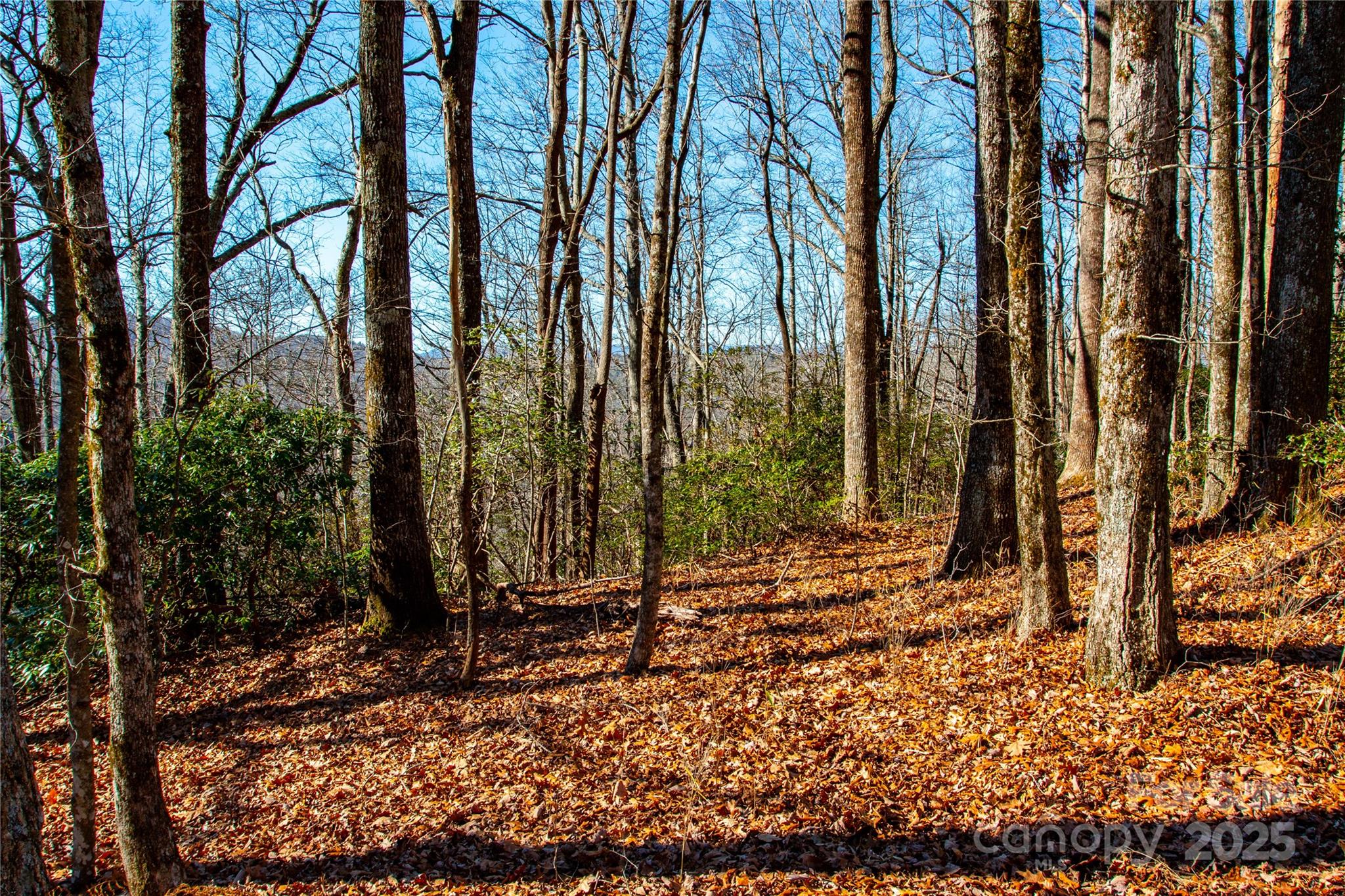 Lot 18 Joshua Road Rosman NC 28772