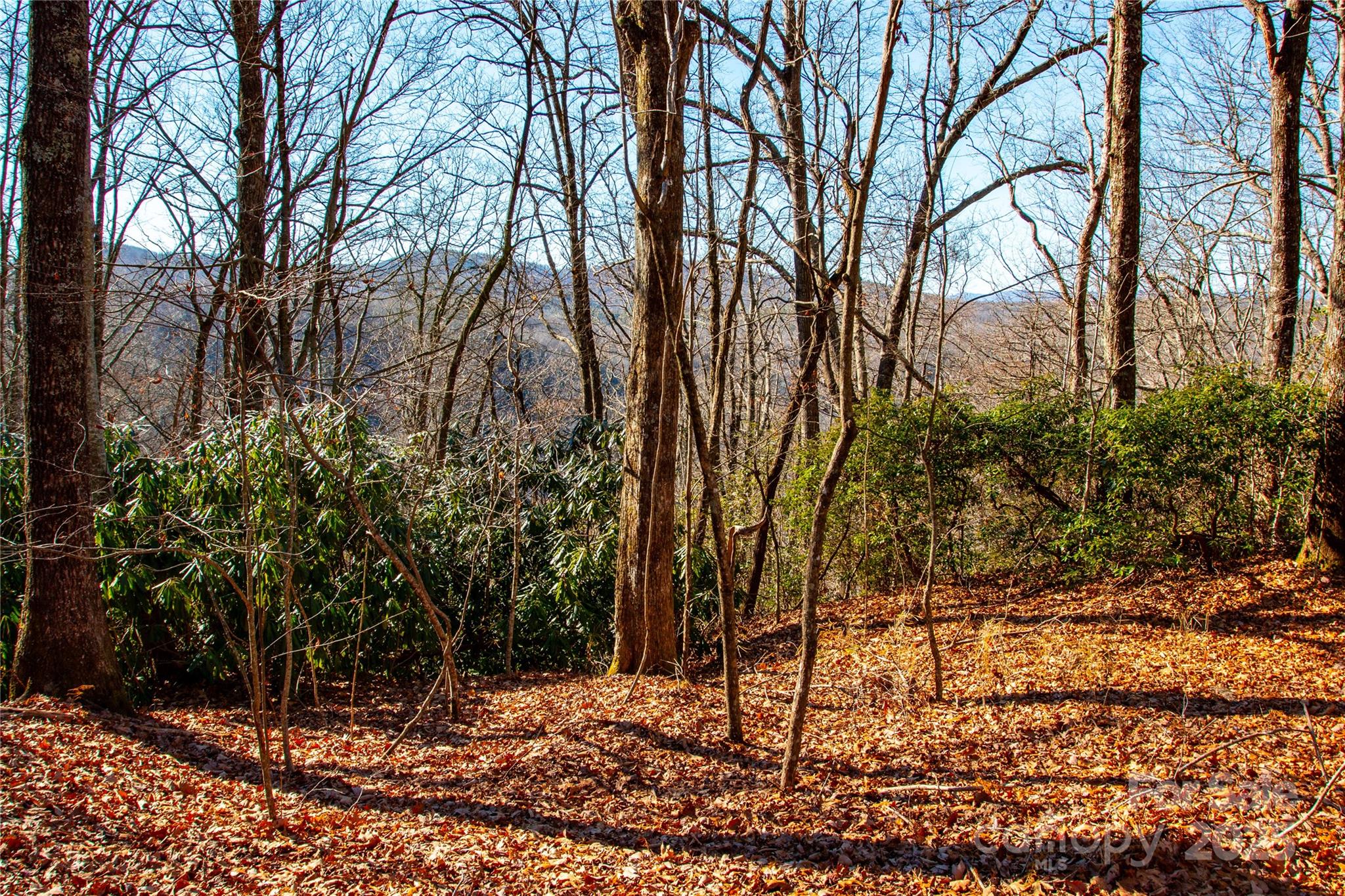 Lot 18 Joshua Road Rosman NC 28772