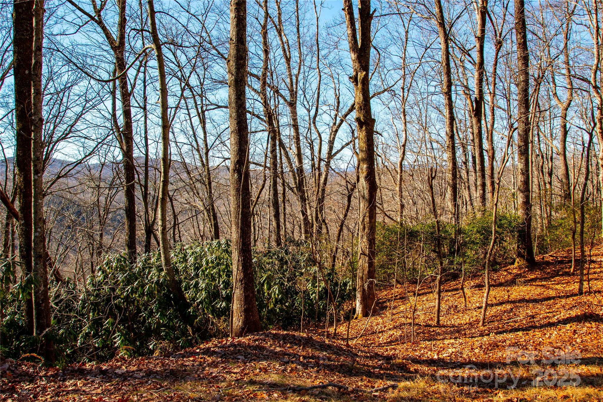 Lot 18 Joshua Road Rosman NC 28772
