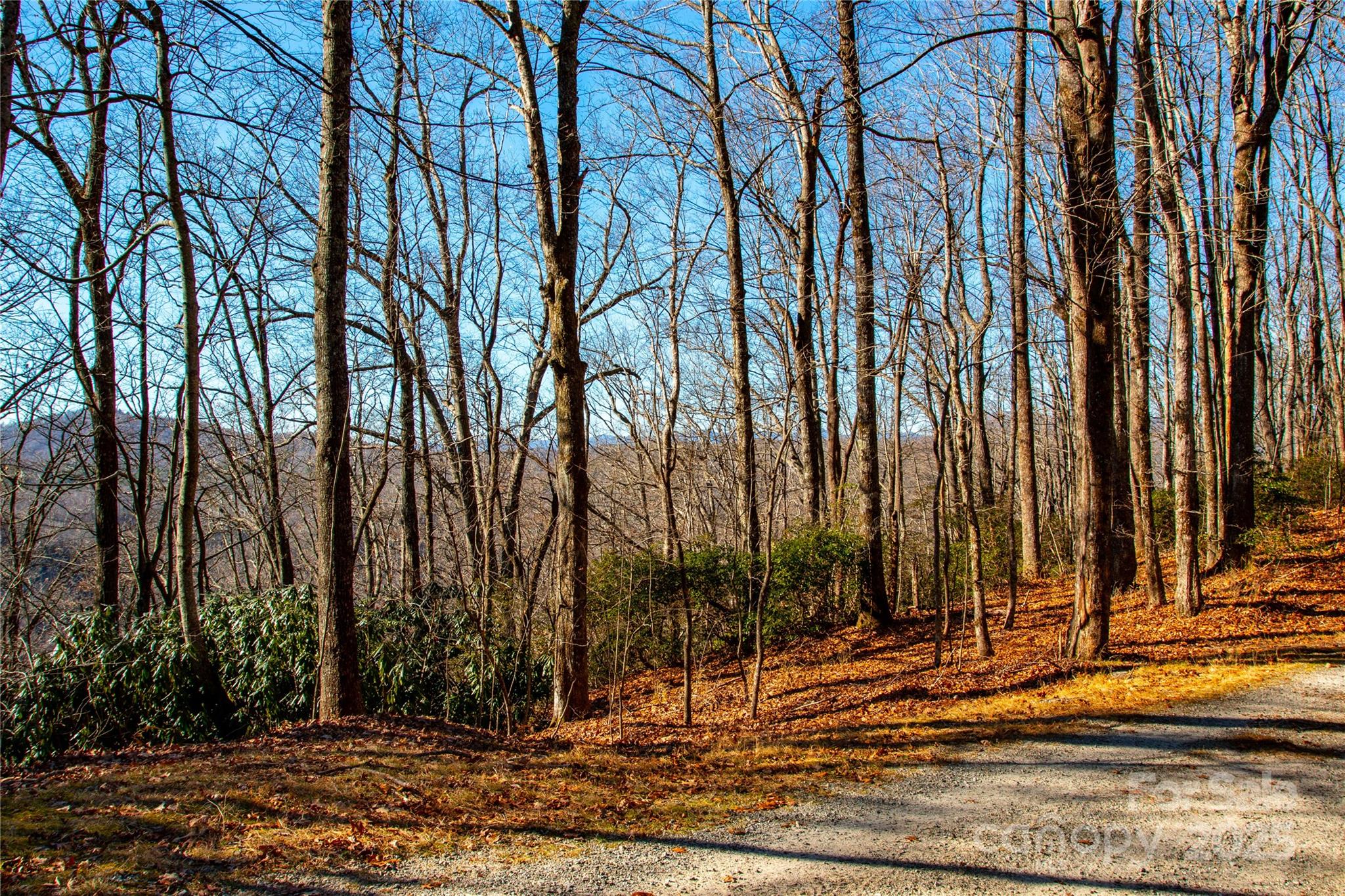 Lot 18 Joshua Road Rosman NC 28772