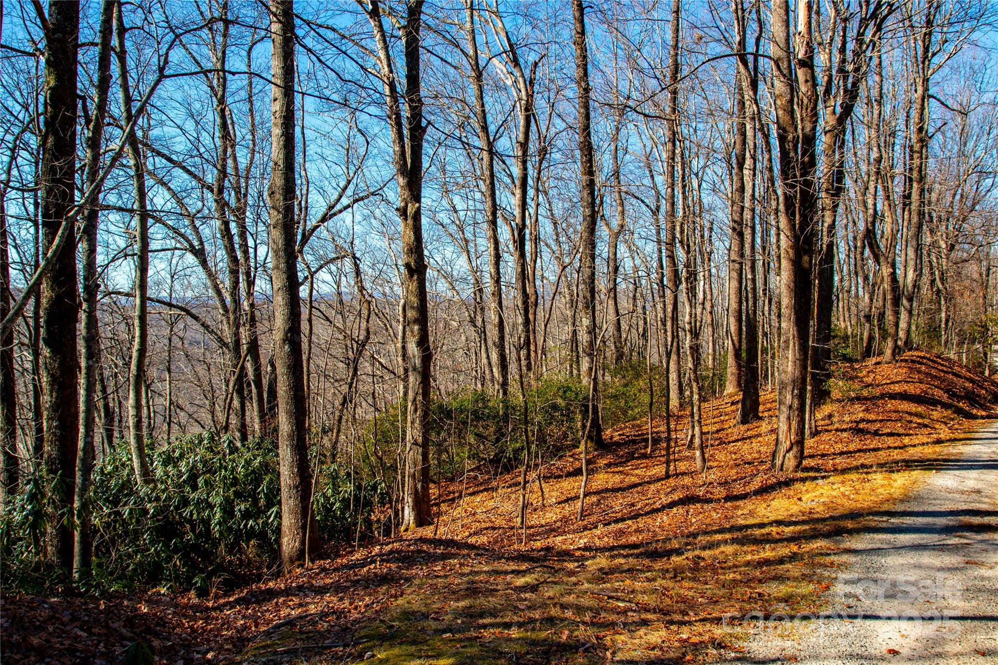 Lot 18 Joshua Road Rosman NC 28772