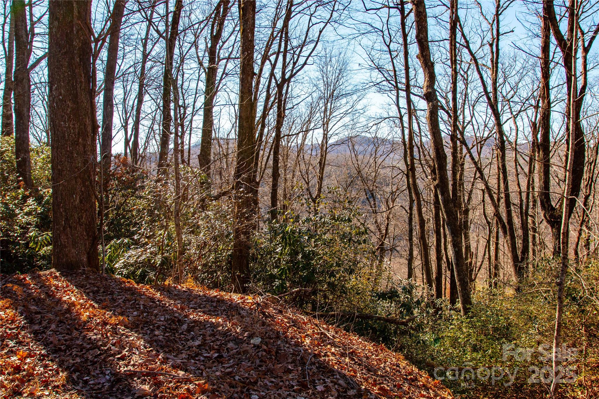 Lot 18 Joshua Road Rosman NC 28772