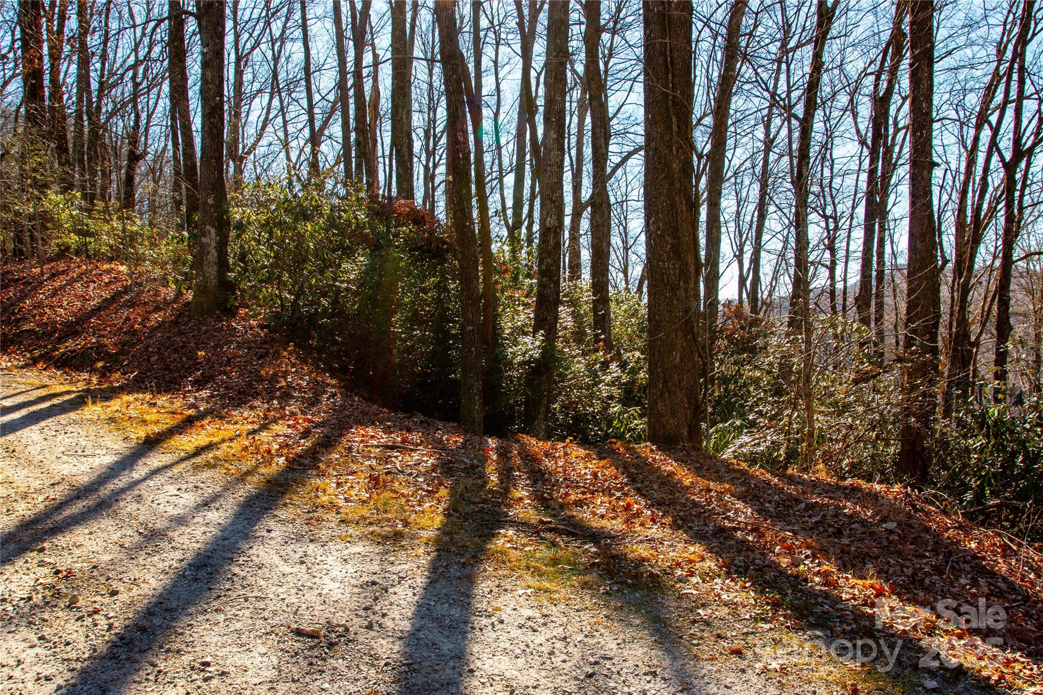 Lot 18 Joshua Road Rosman NC 28772