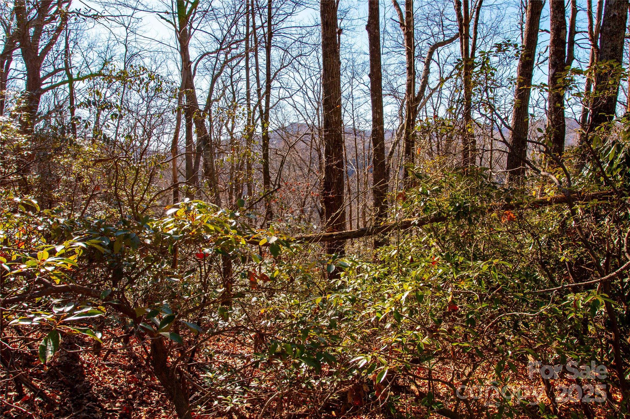 Lot 18 Joshua Road Rosman NC 28772