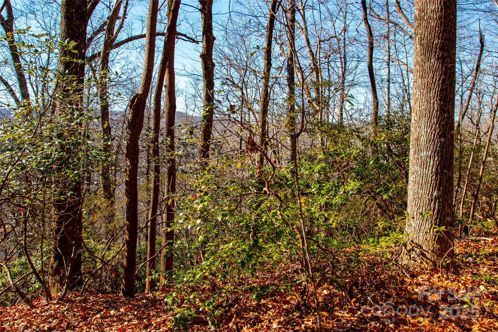 Lot 18 Joshua Road Rosman NC 28772
