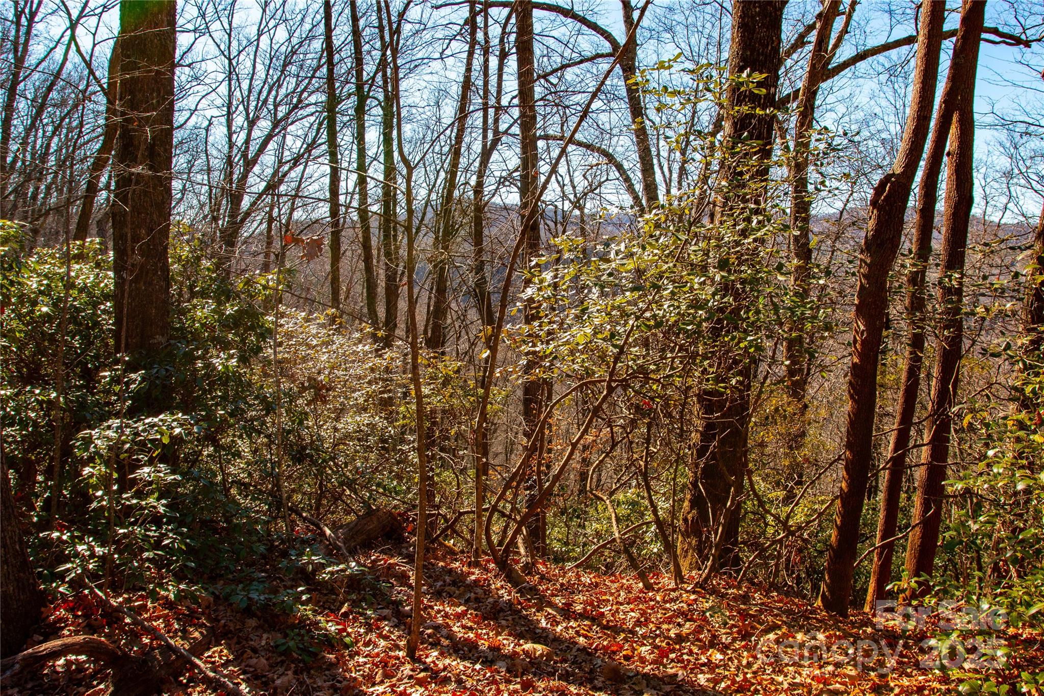 Lot 18 Joshua Road Rosman NC 28772