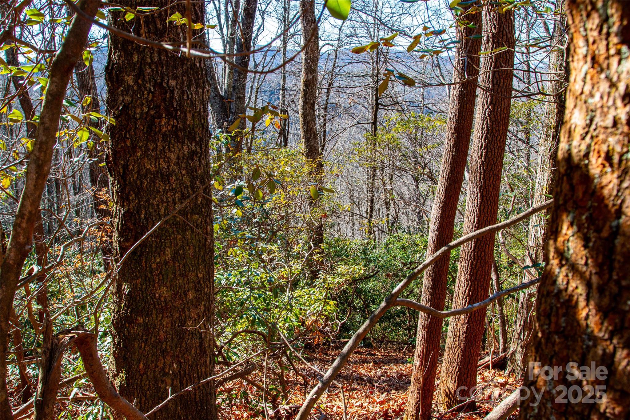 Lot 18 Joshua Road Rosman NC 28772