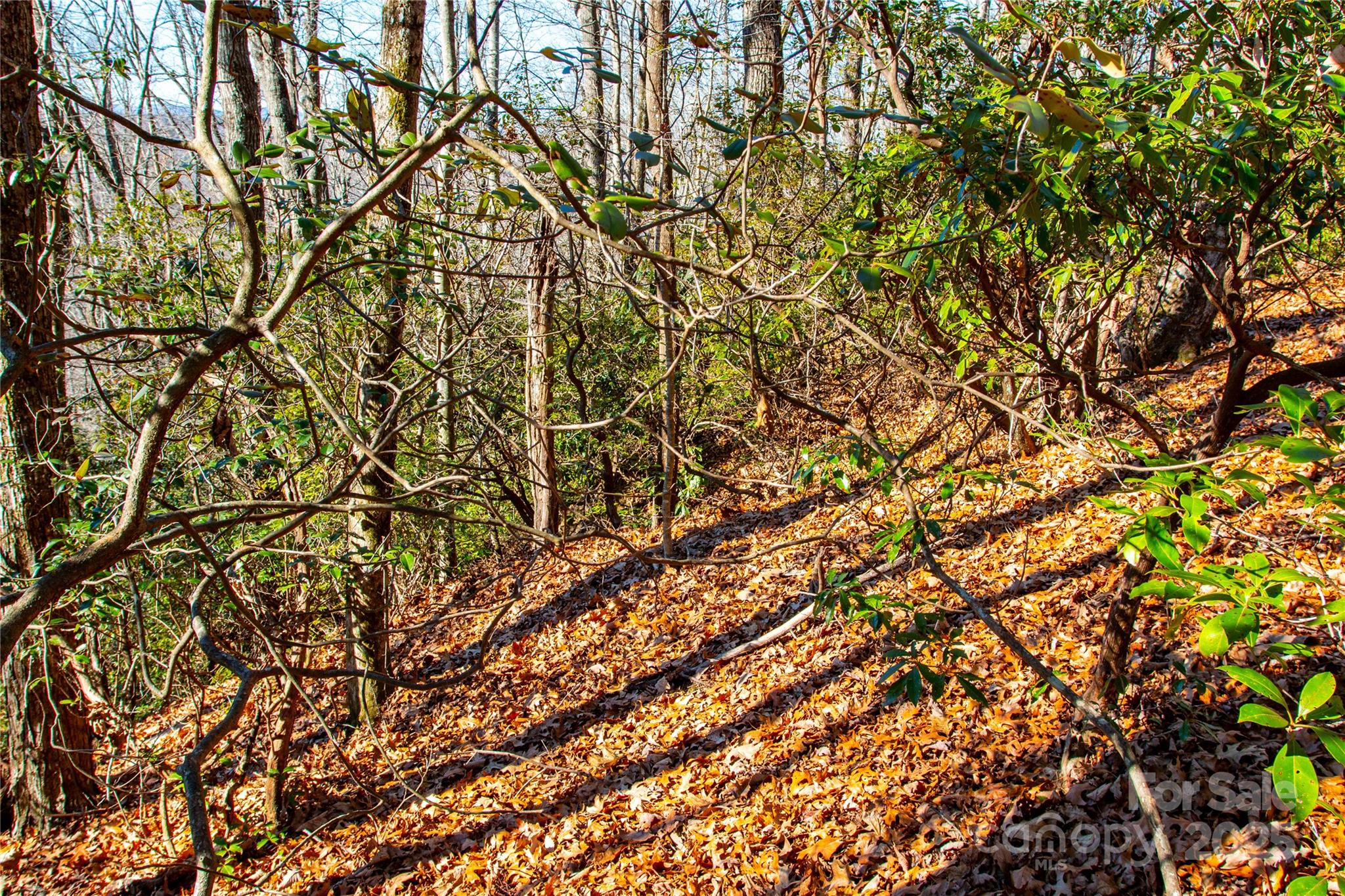 Lot 18 Joshua Road Rosman NC 28772