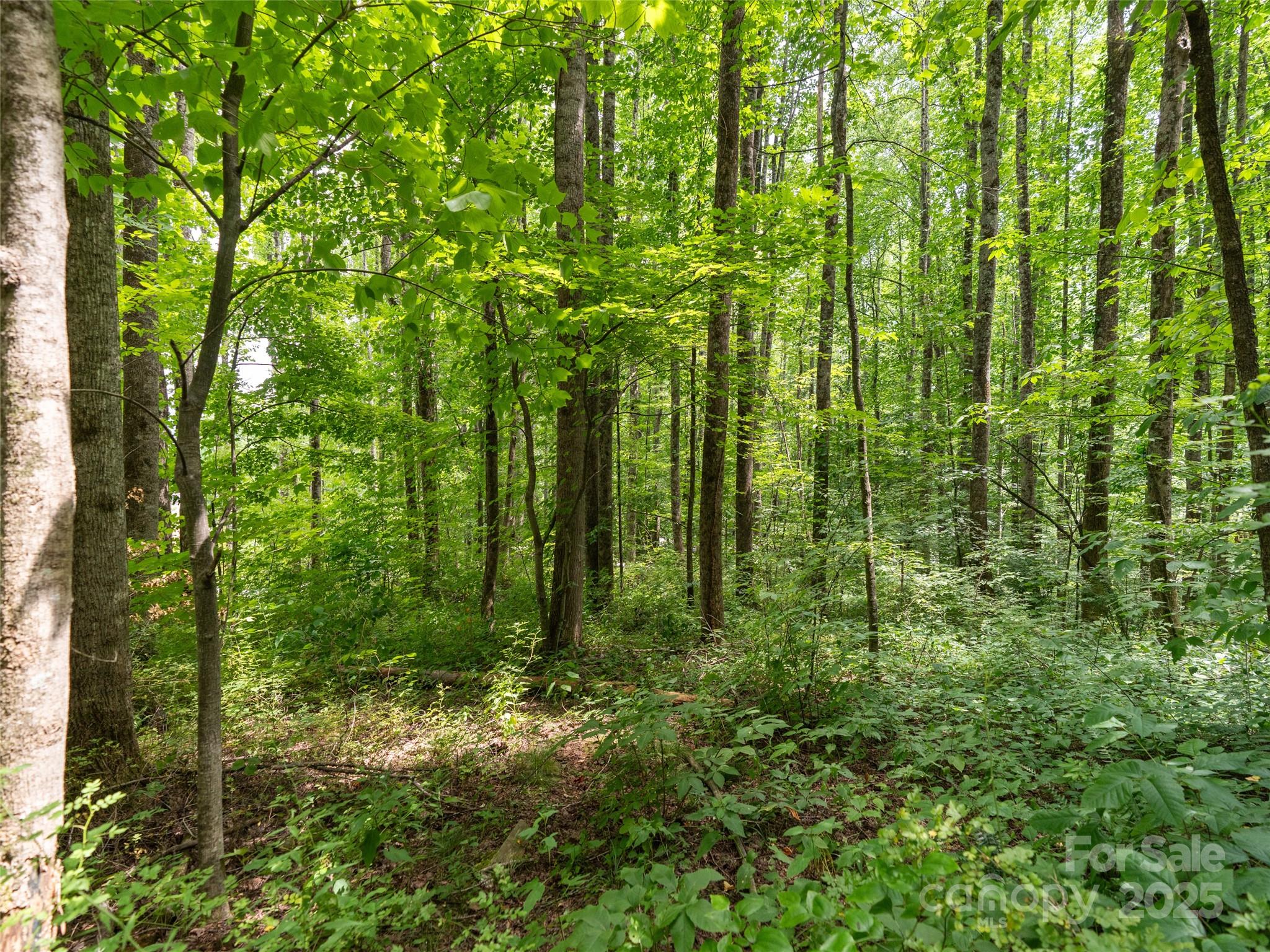 4 Roaring Creek Lane Waynesville NC 28785