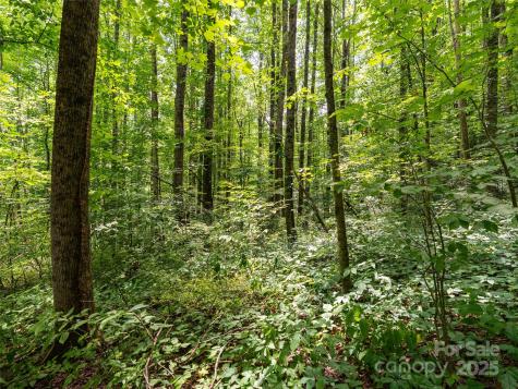 4 Roaring Creek Lane Waynesville NC 28785