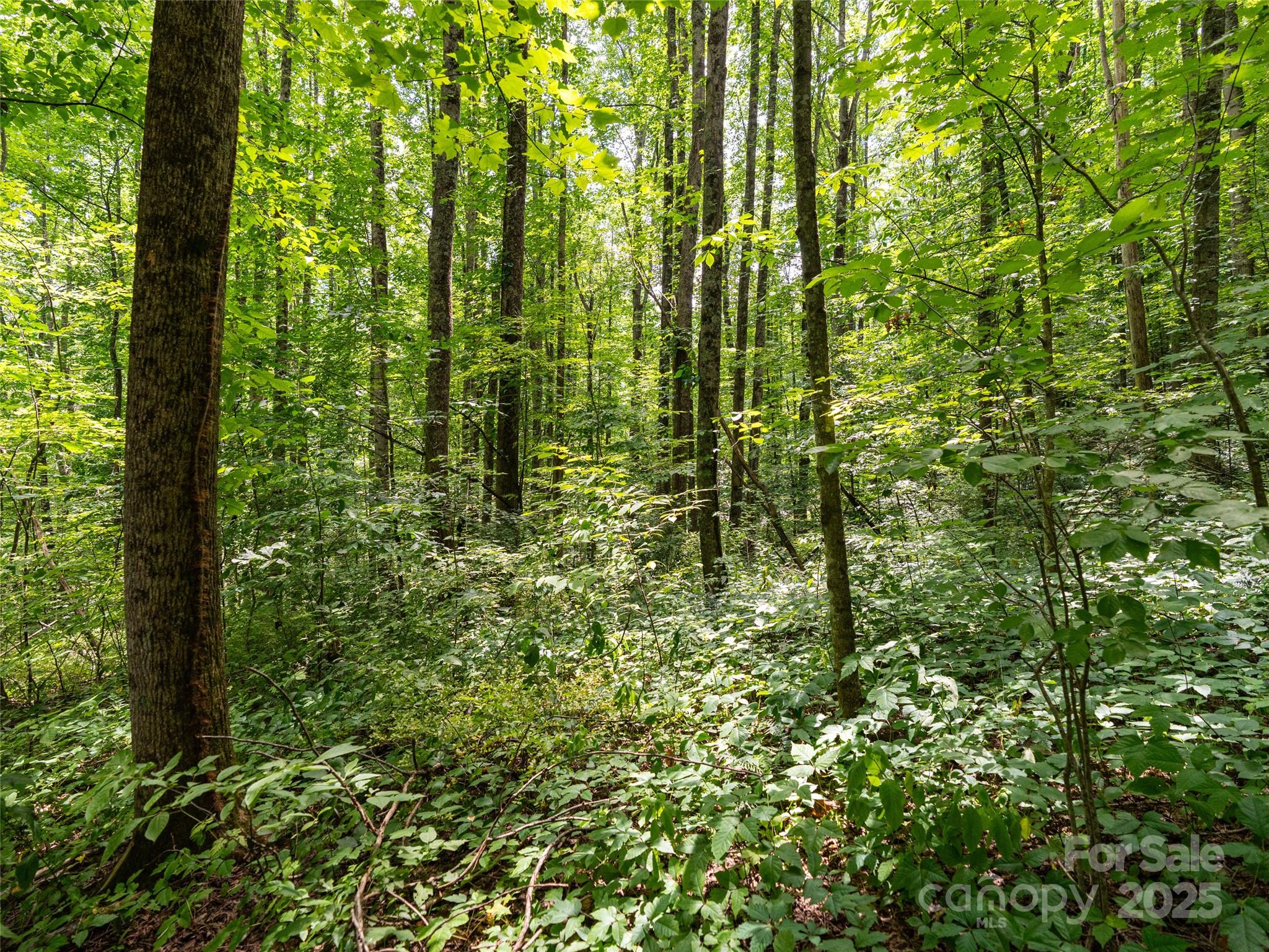 4 Roaring Creek Lane Waynesville NC 28785