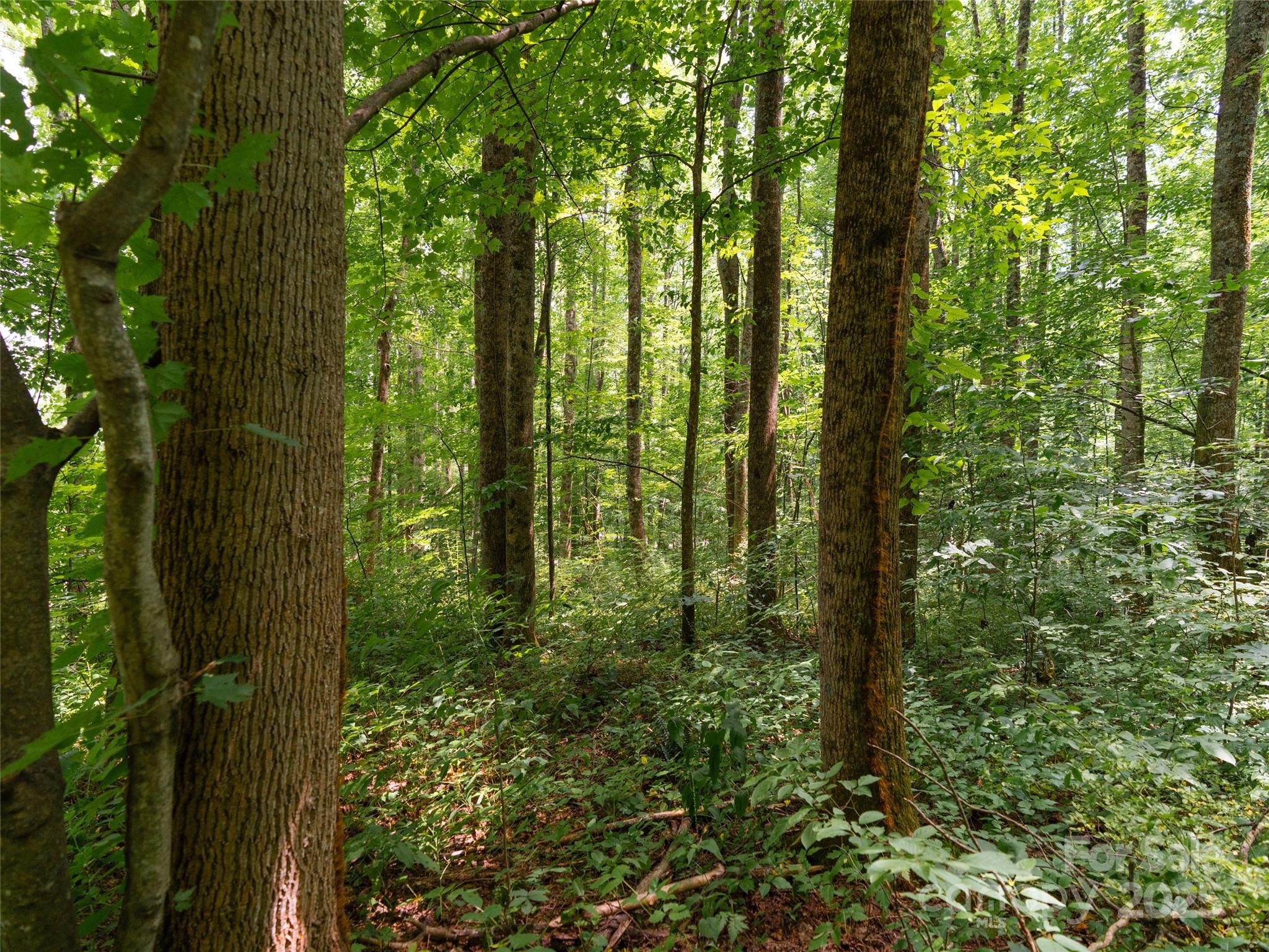 4 Roaring Creek Lane Waynesville NC 28785
