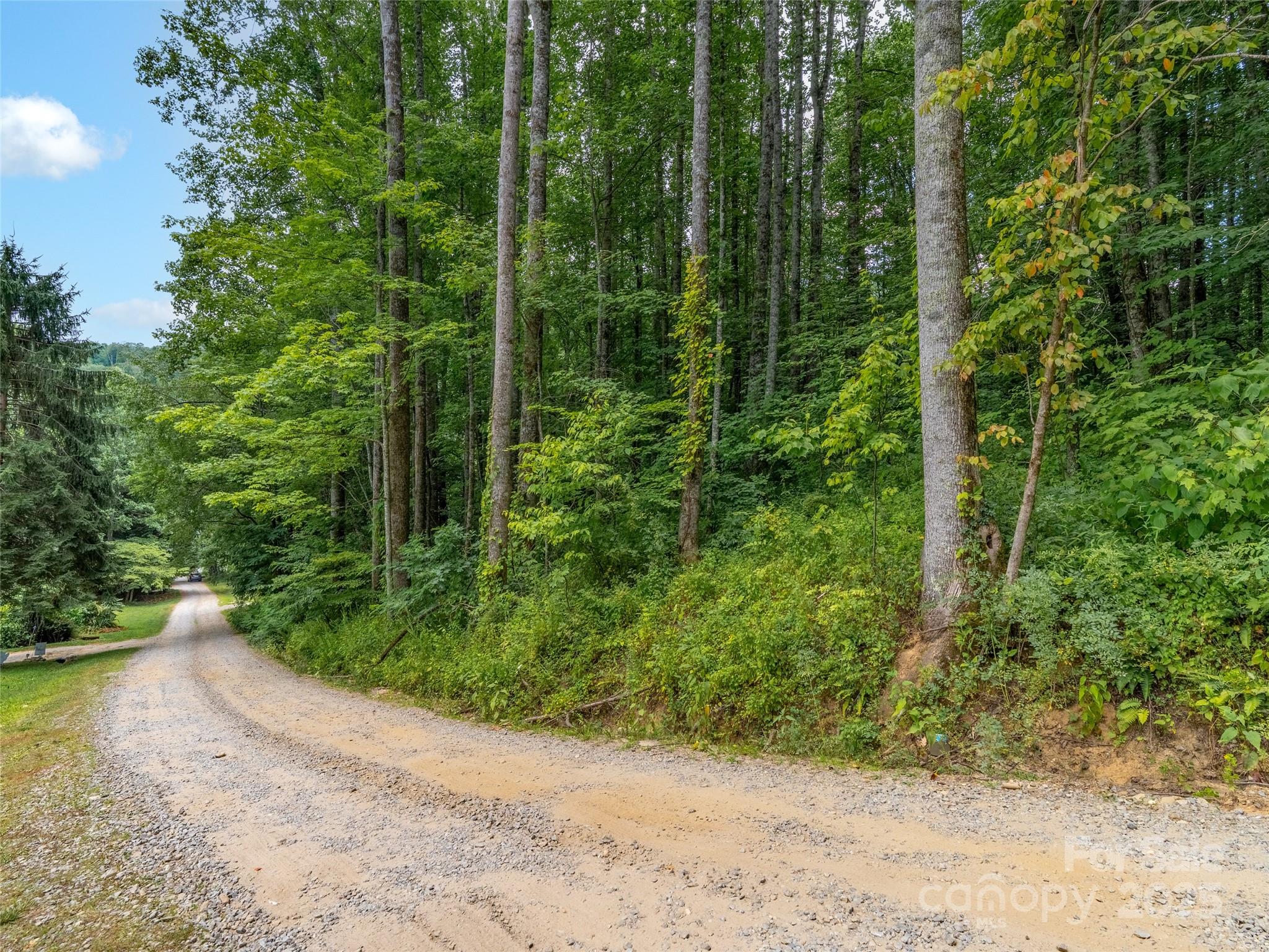 4 Roaring Creek Lane Waynesville NC 28785