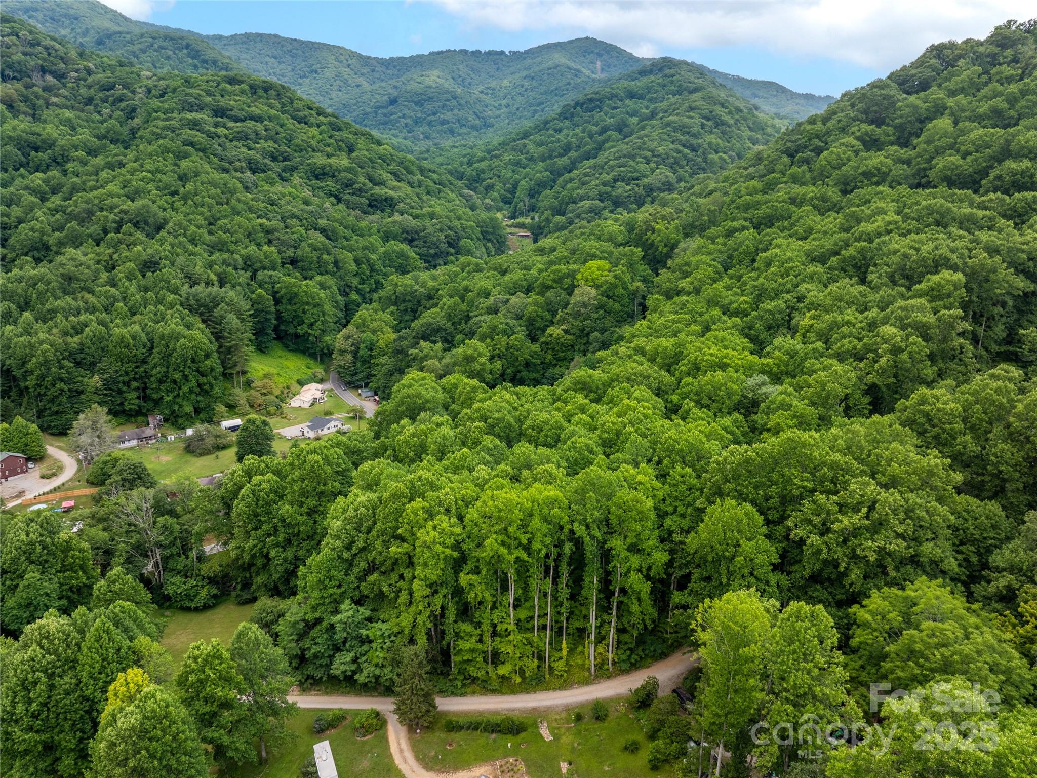 4 Roaring Creek Lane Waynesville NC 28785