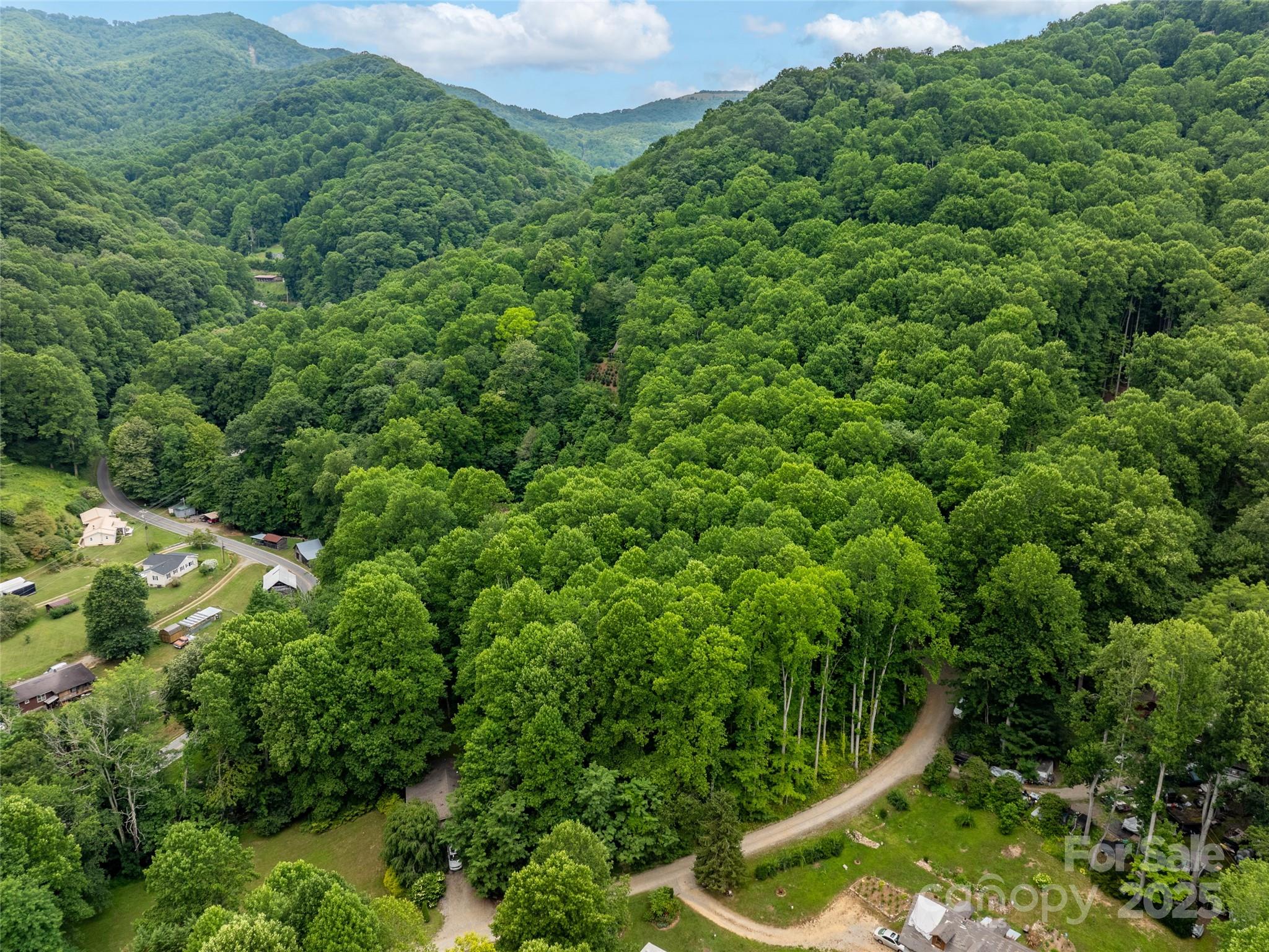 4 Roaring Creek Lane Waynesville NC 28785