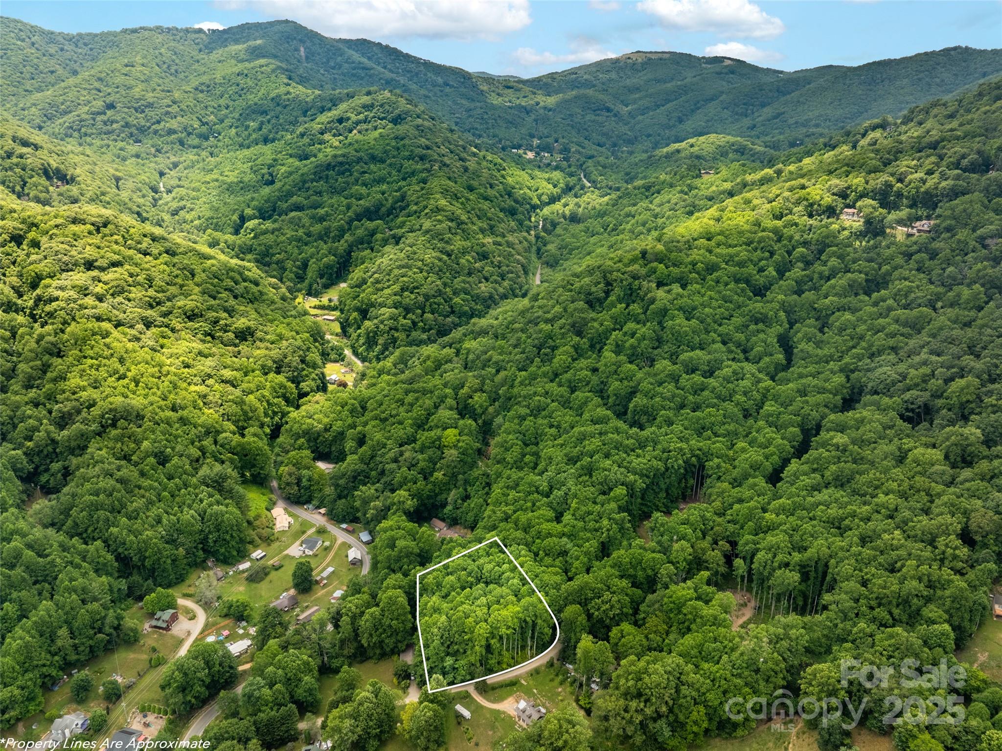 4 Roaring Creek Lane Waynesville NC 28785