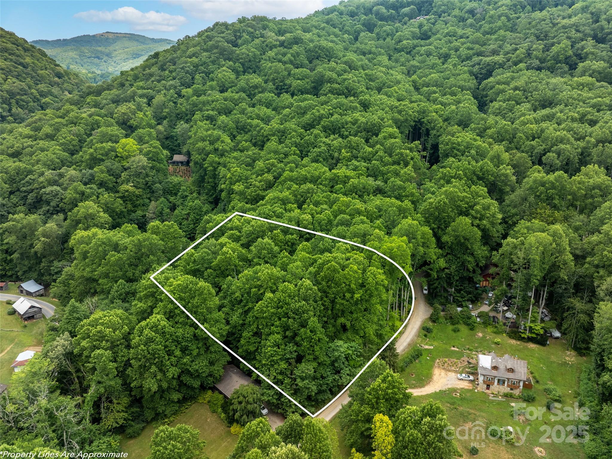 4 Roaring Creek Lane Waynesville NC 28785