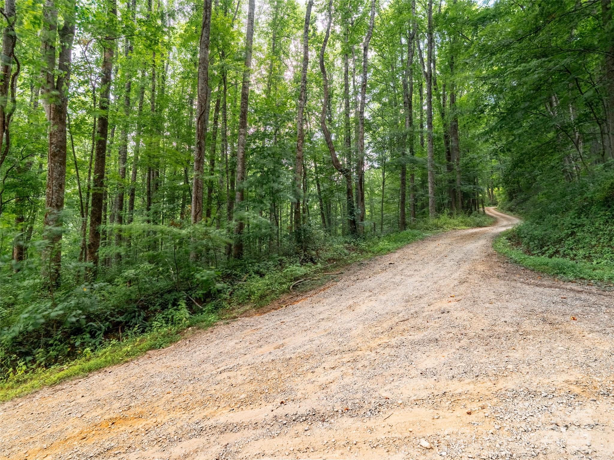 4 Roaring Creek Lane Waynesville NC 28785