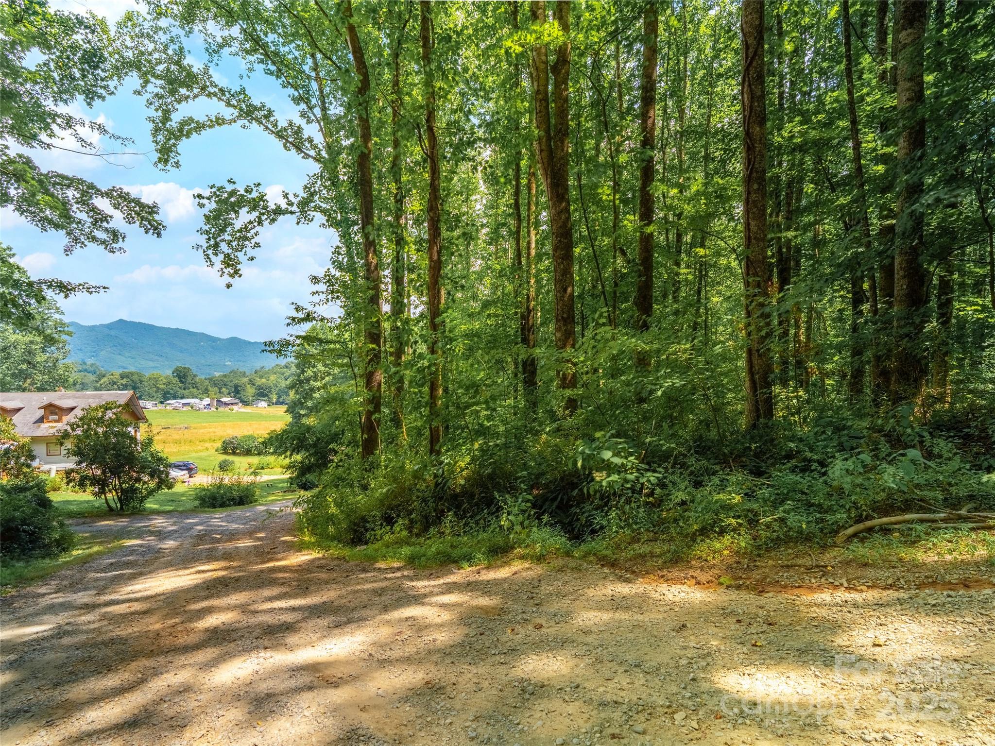 4 Roaring Creek Lane Waynesville NC 28785