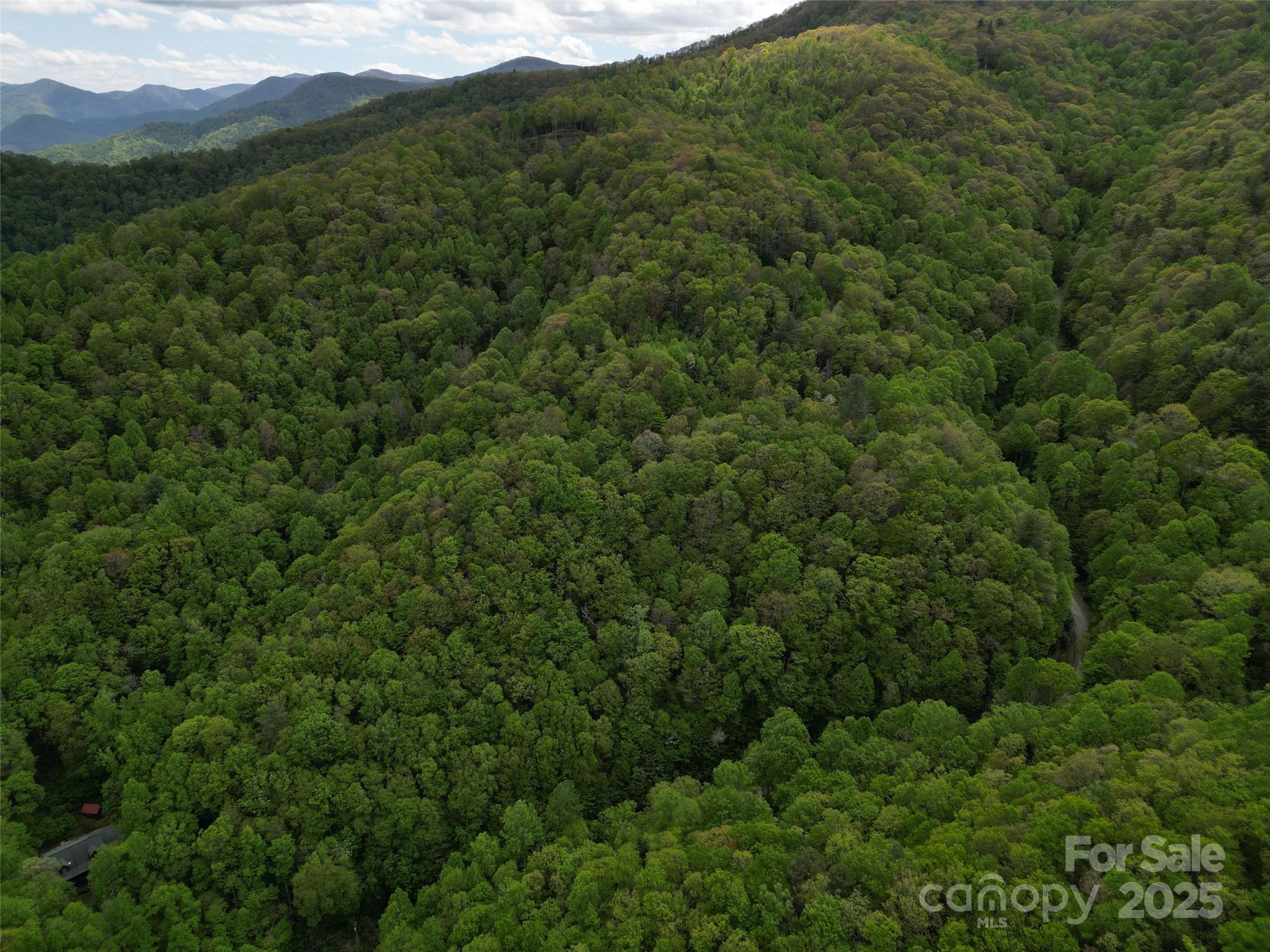 3 Autumn Drive Waynesville NC 28785