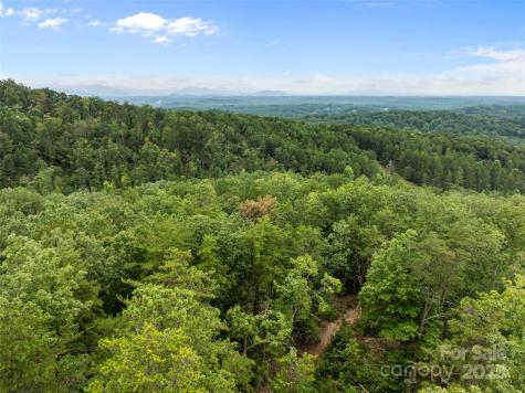 823 Silver Creek Road Mill Spring NC 28756