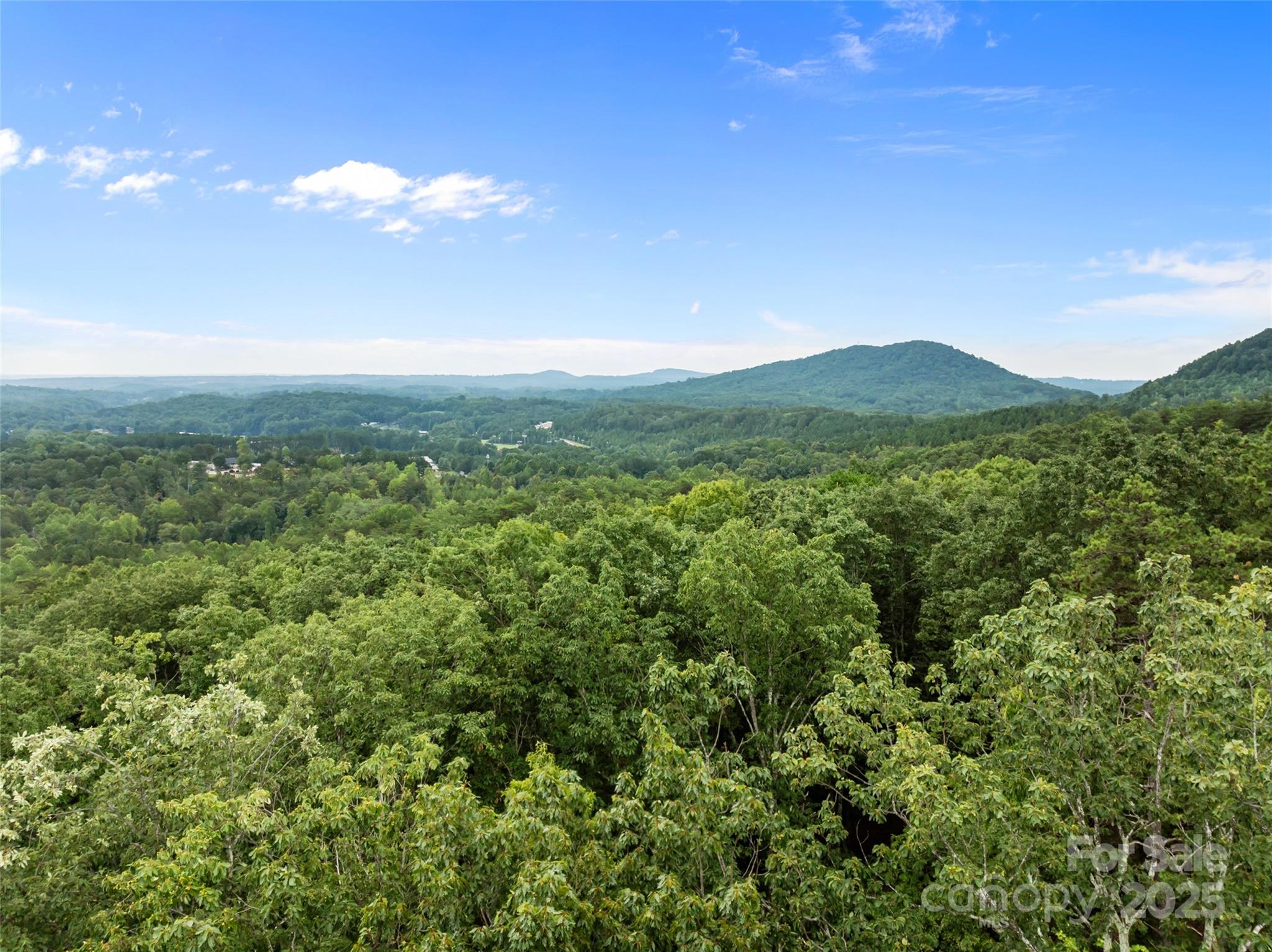 823 Silver Creek Road Mill Spring NC 28756