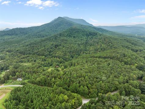 823 Silver Creek Road Mill Spring NC 28756